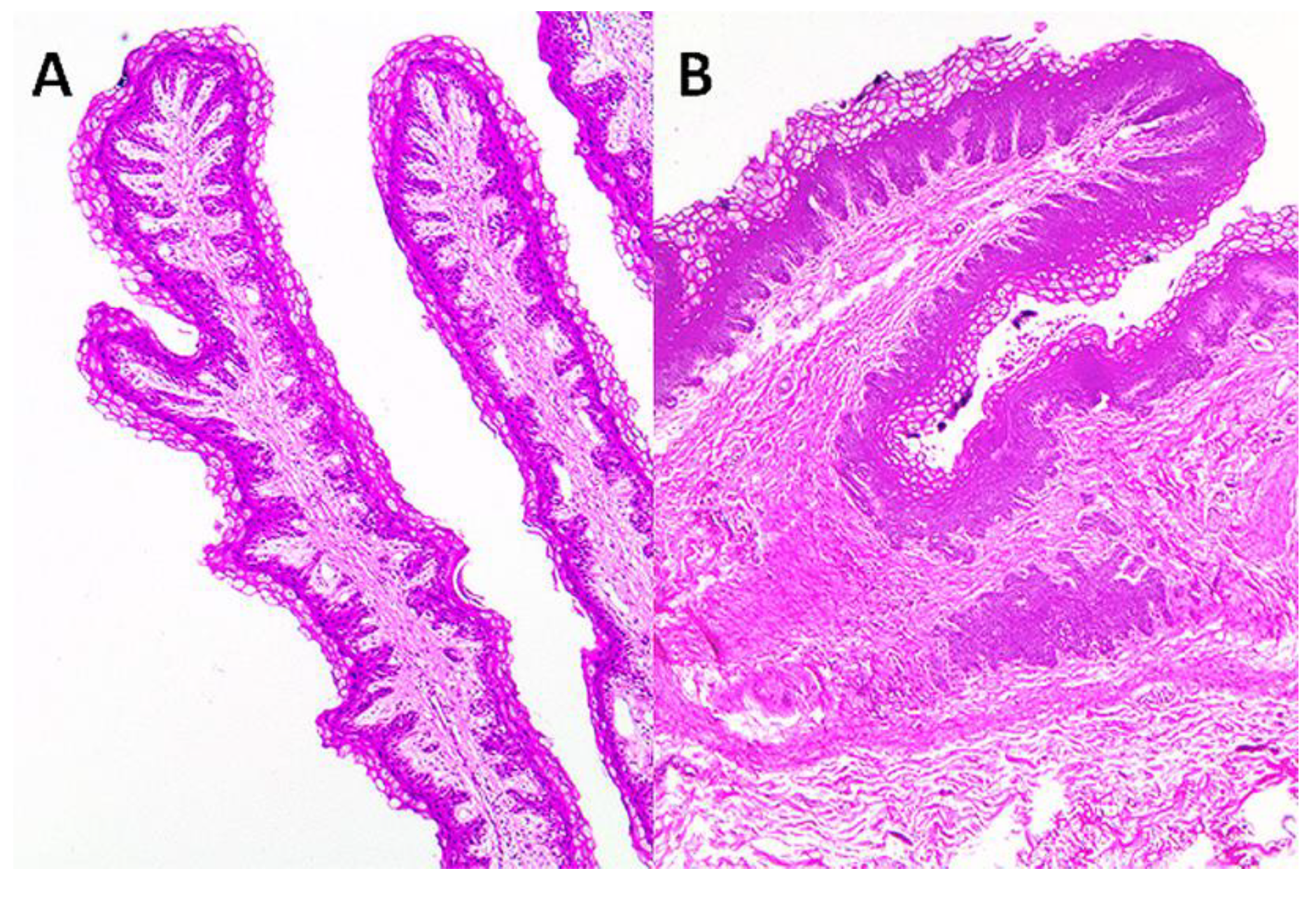 Ruminants 01 00009 g001