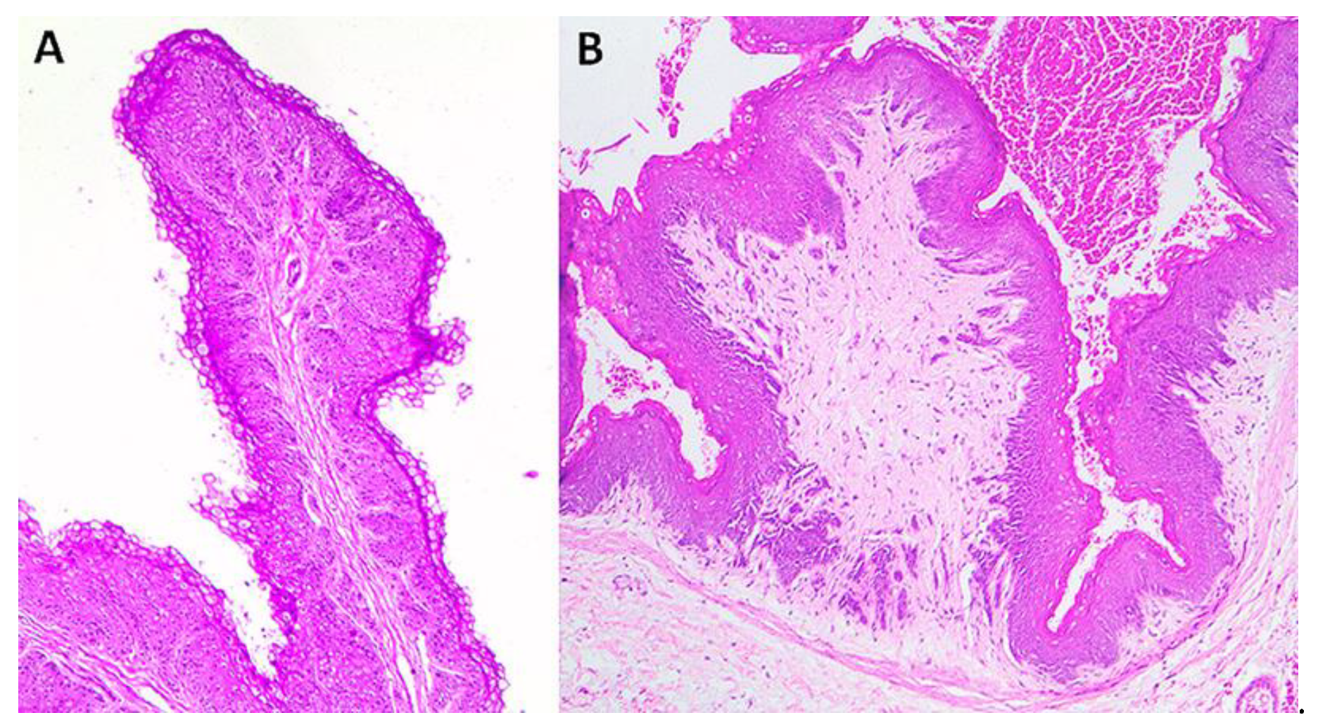 Ruminants 01 00009 g002