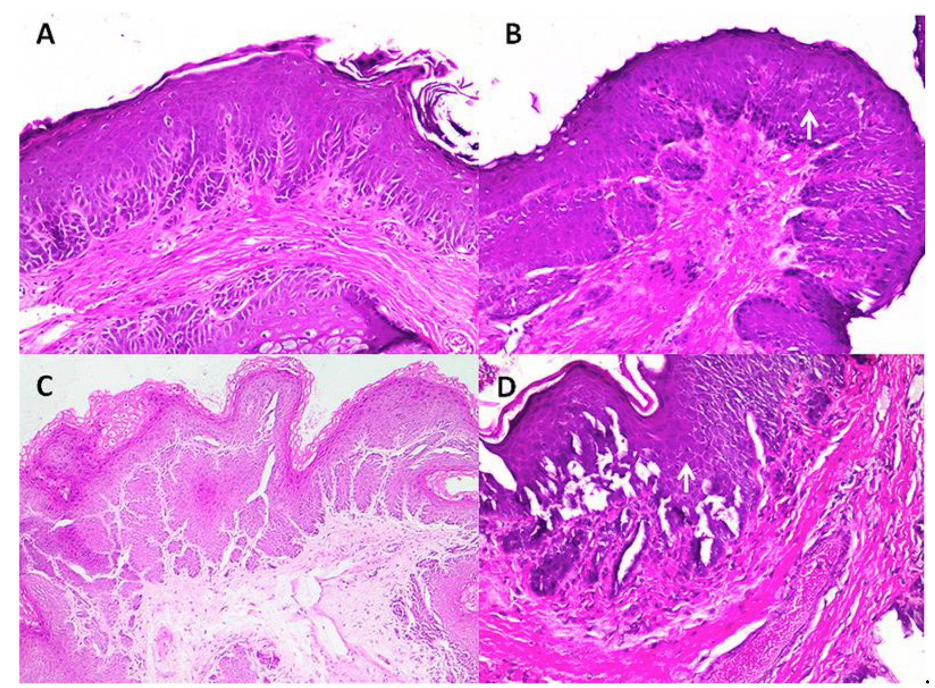 Ruminants 01 00009 g003