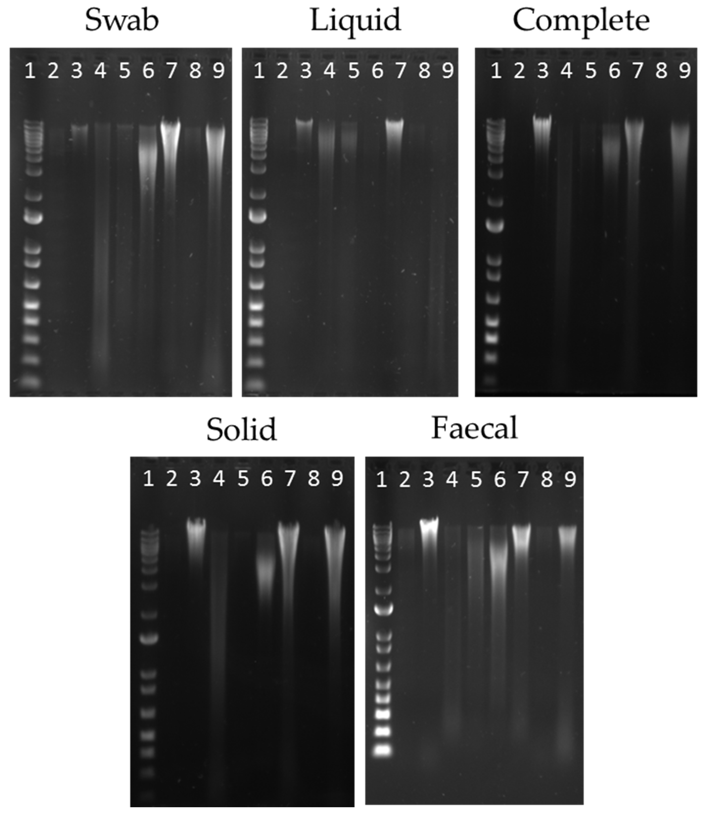 Ruminants 02 00007 g001