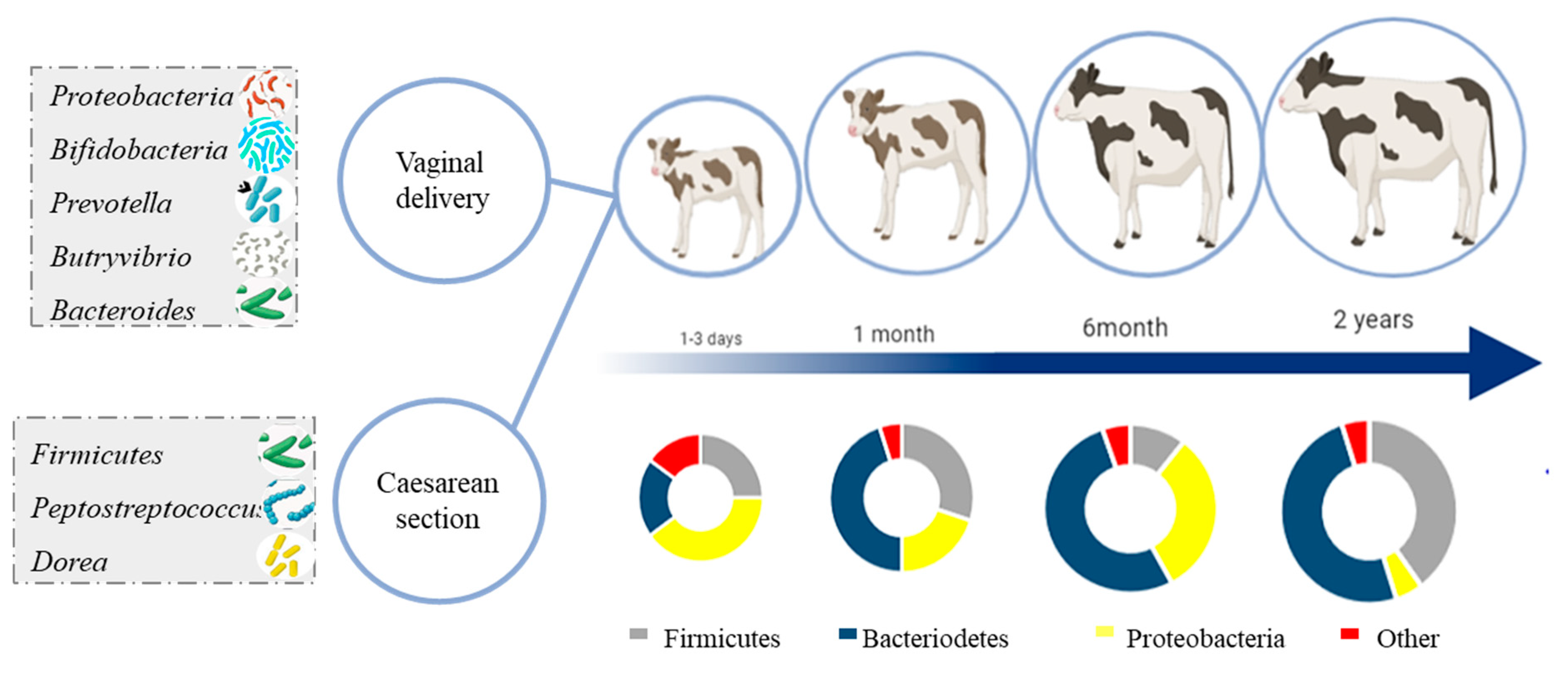 Ruminants 02 00009 g001 Ruminants 02 00009 g001