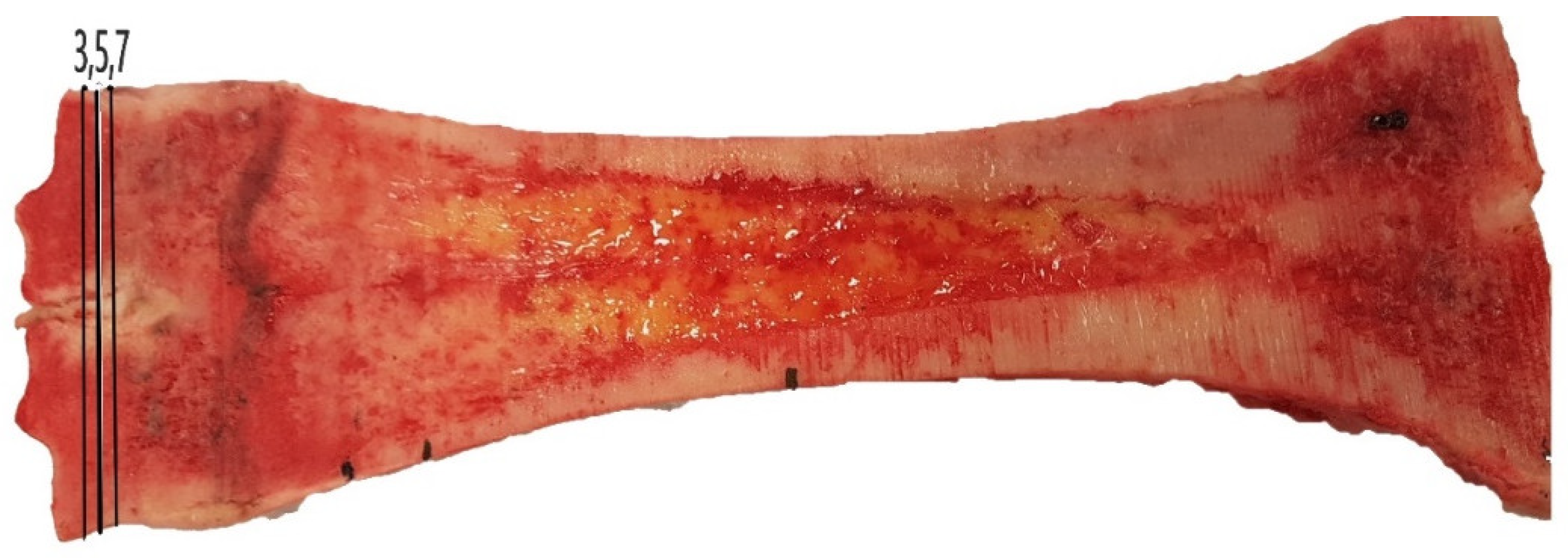 Ruminants 02 00020 g001