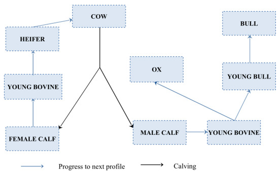 Ruminants 02 00025 g003 550