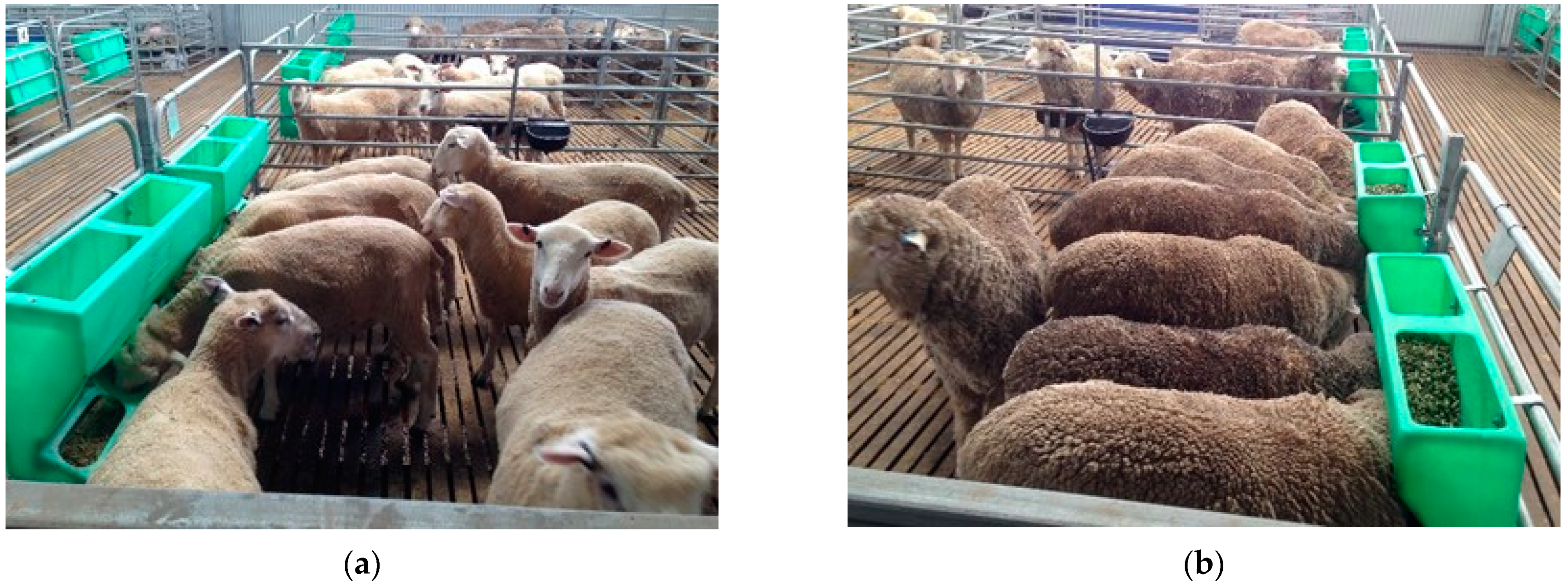 Ruminants 02 00027 g006 Ruminants 02 00027 g006