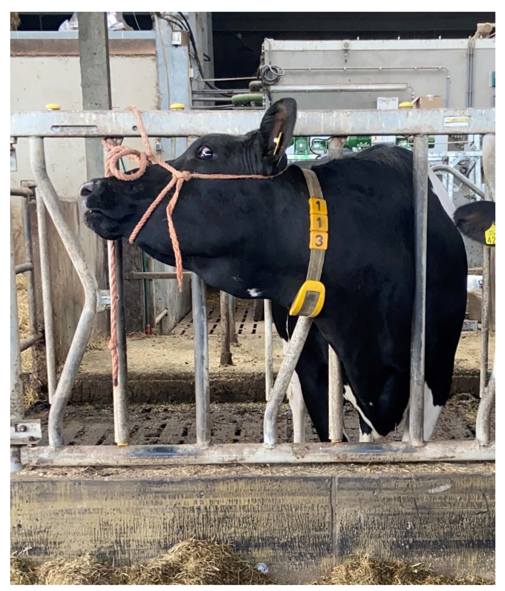 Ruminants 03 00005 g001