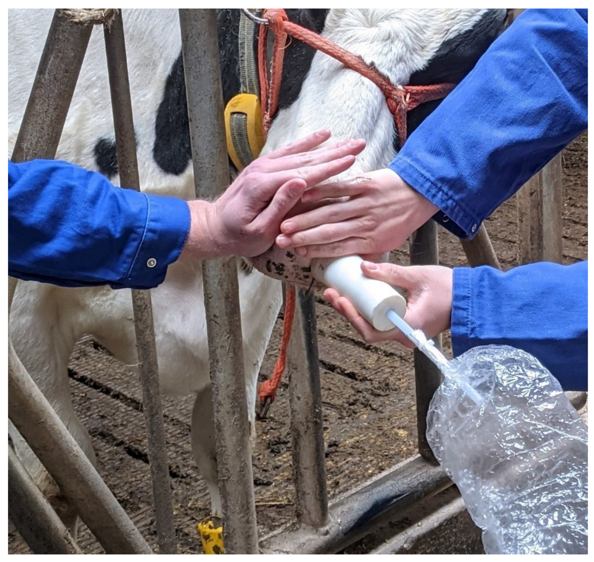 Ruminants 03 00005 g003