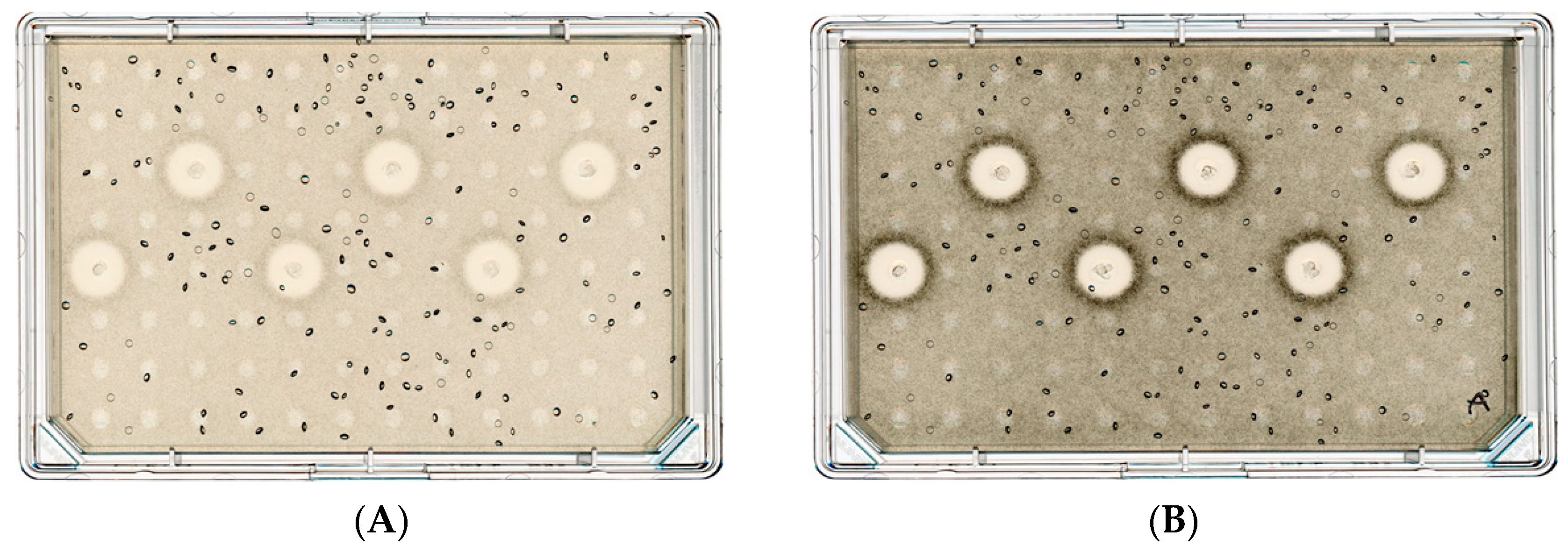 Ruminants 03 00018 g002