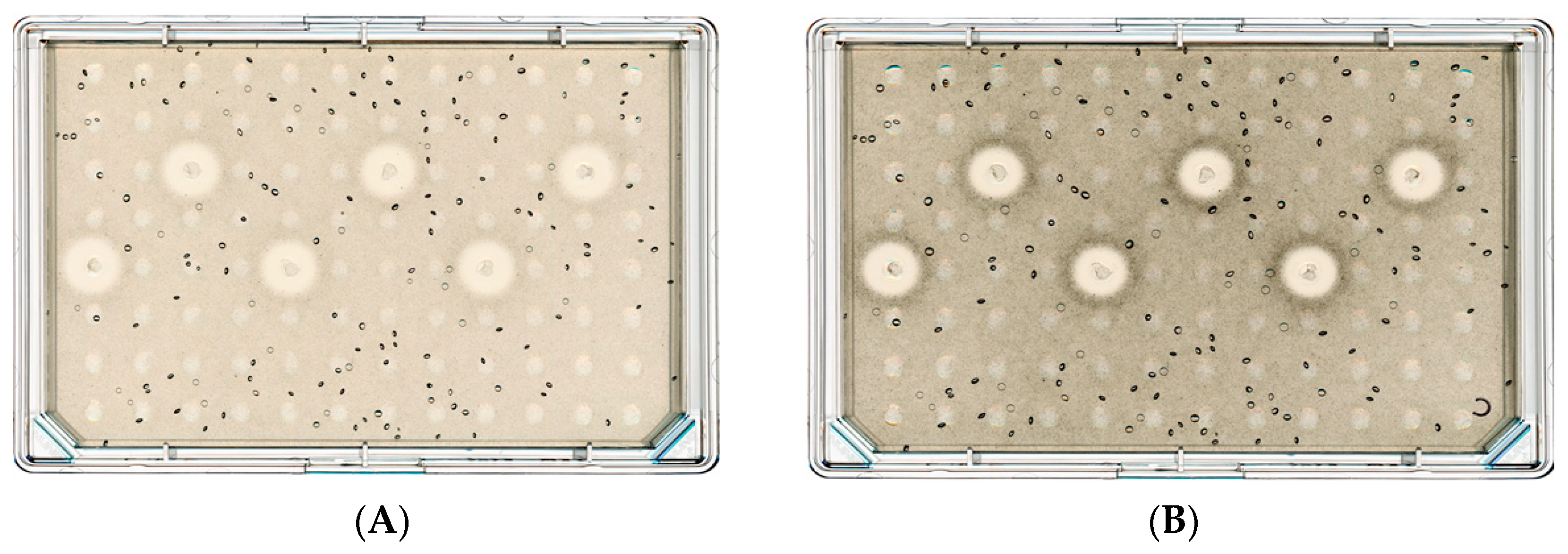 Ruminants 03 00018 g003