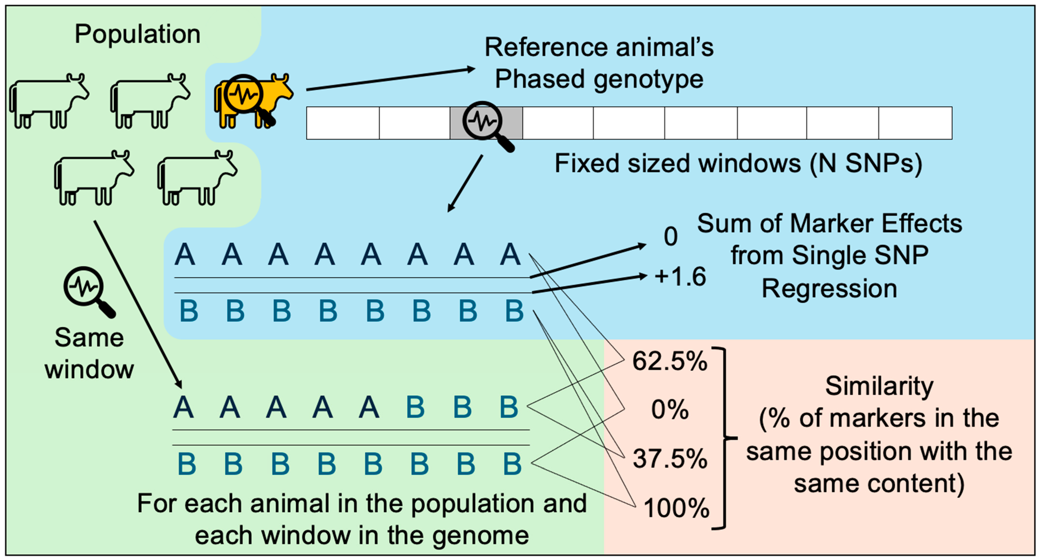 Ruminants 04 00006 g003