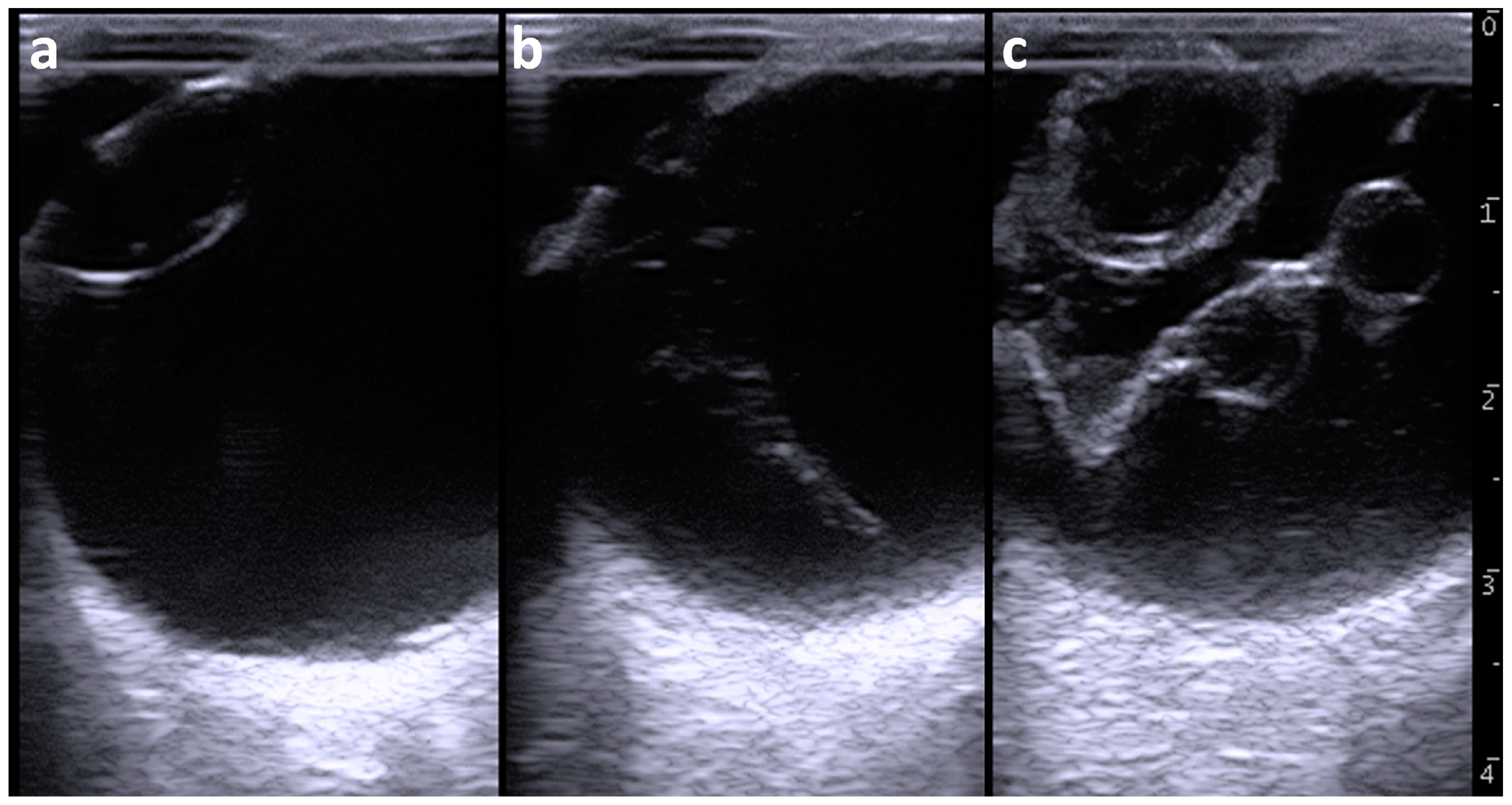 Ruminants 04 00008 g002