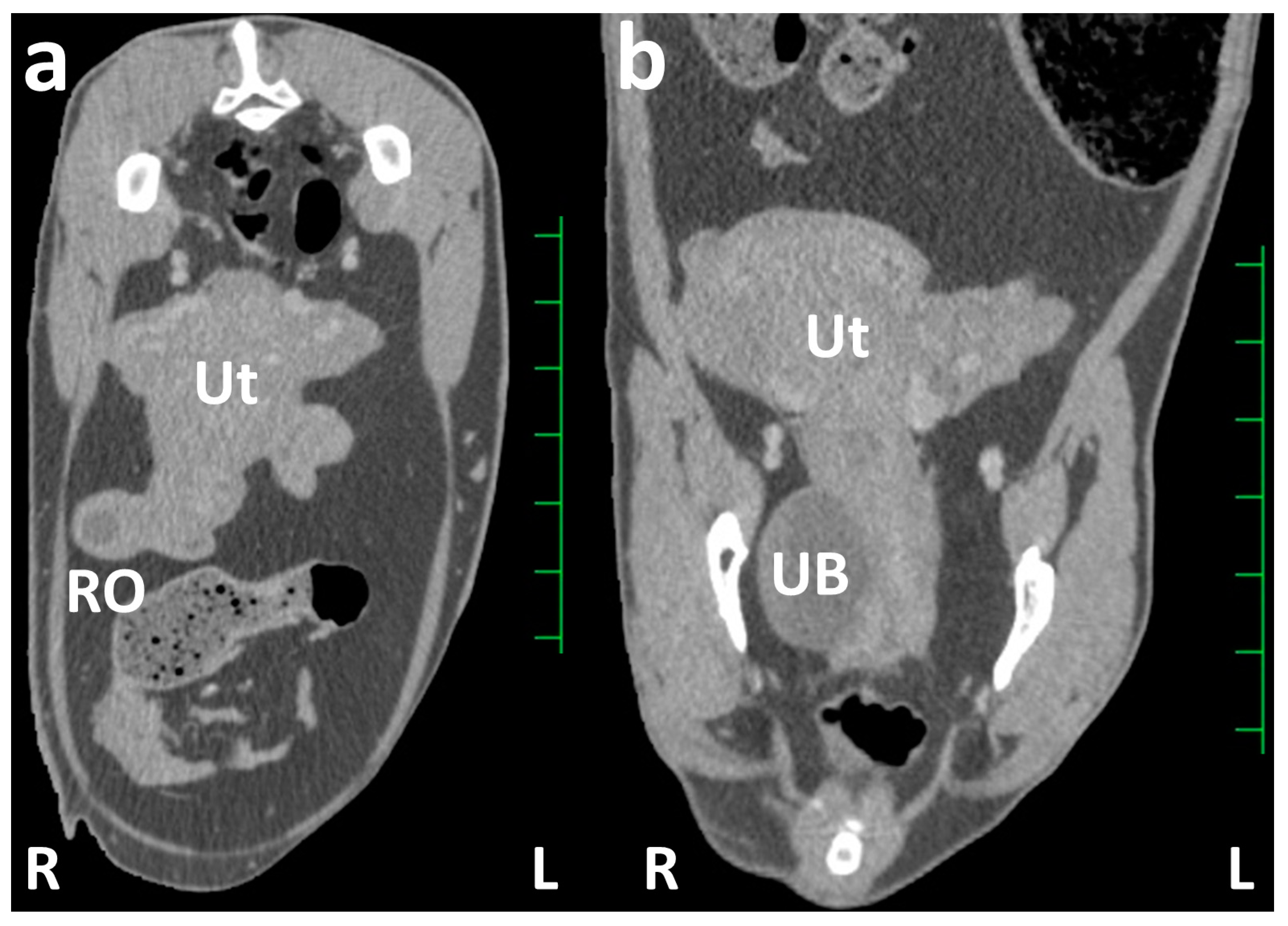 Ruminants 05 00006 g002 Ruminants 05 00006 g002