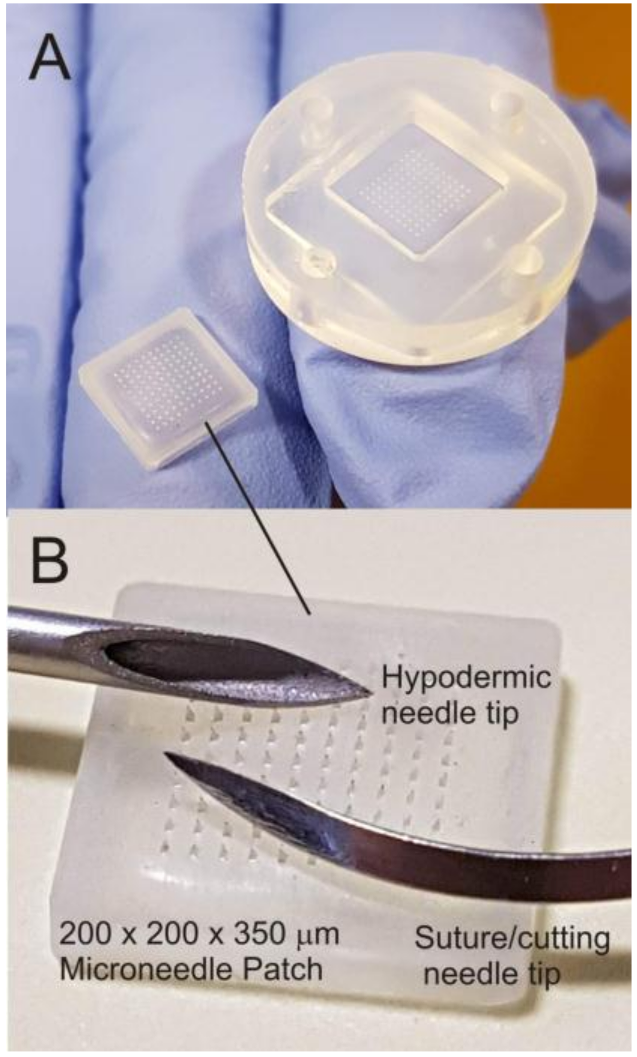 Safety 03 00025 g001