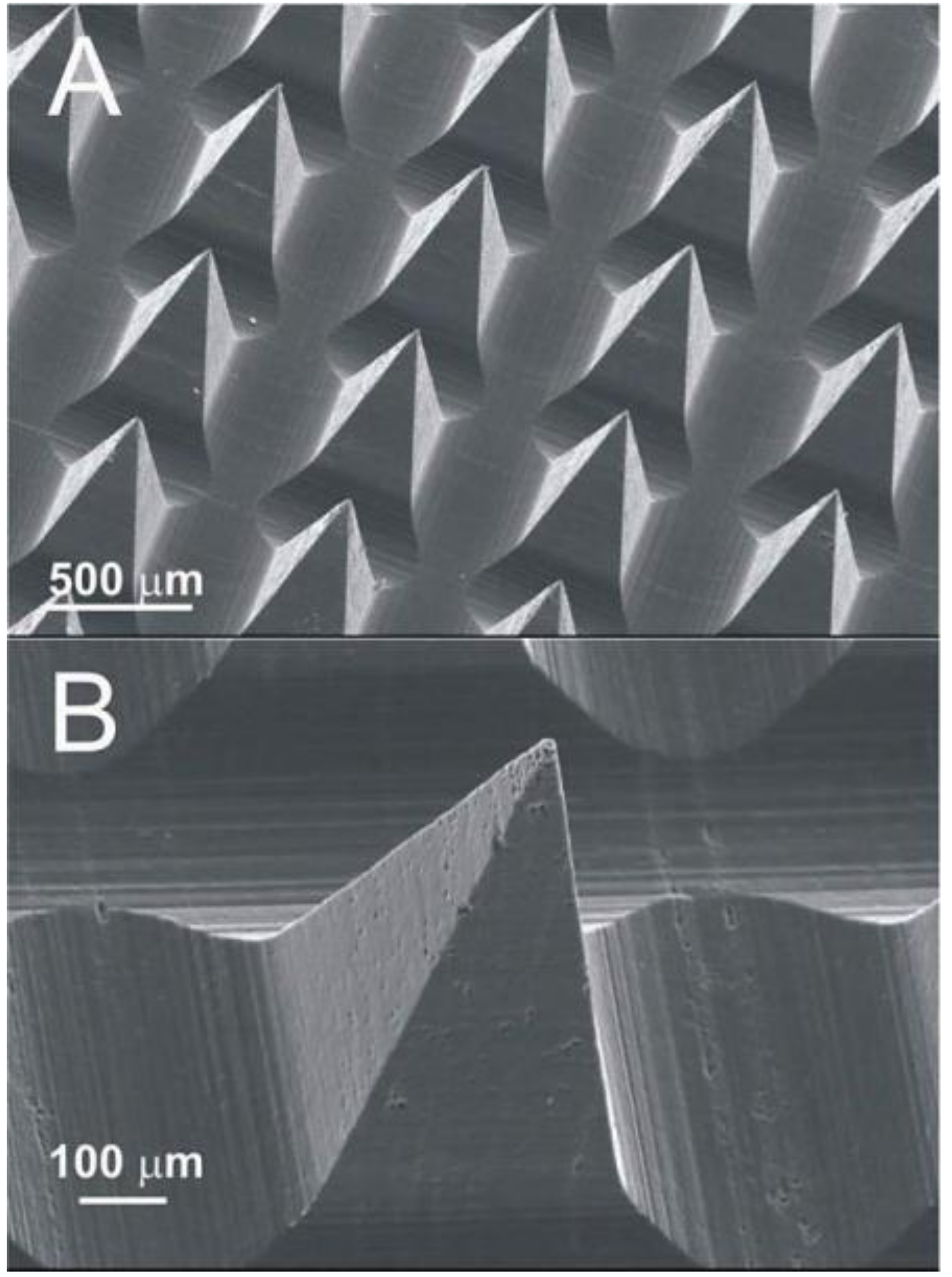 Safety 03 00025 g002