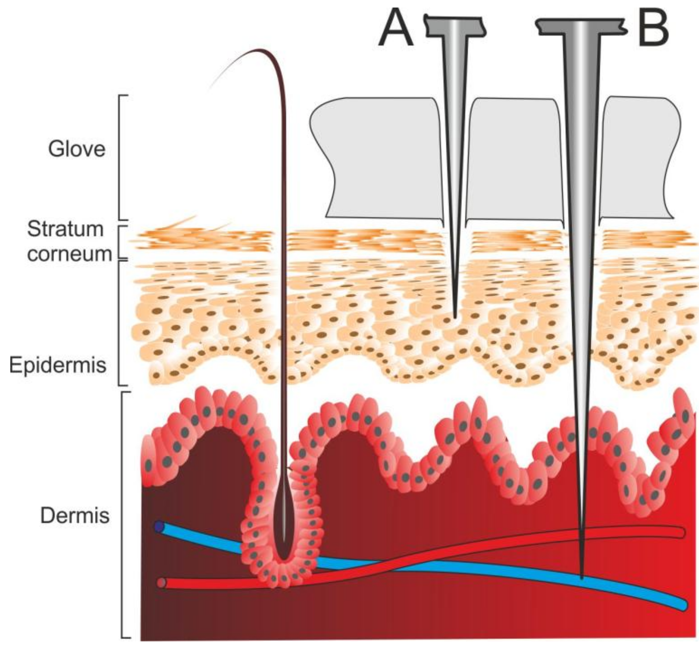 Safety 03 00025 g006