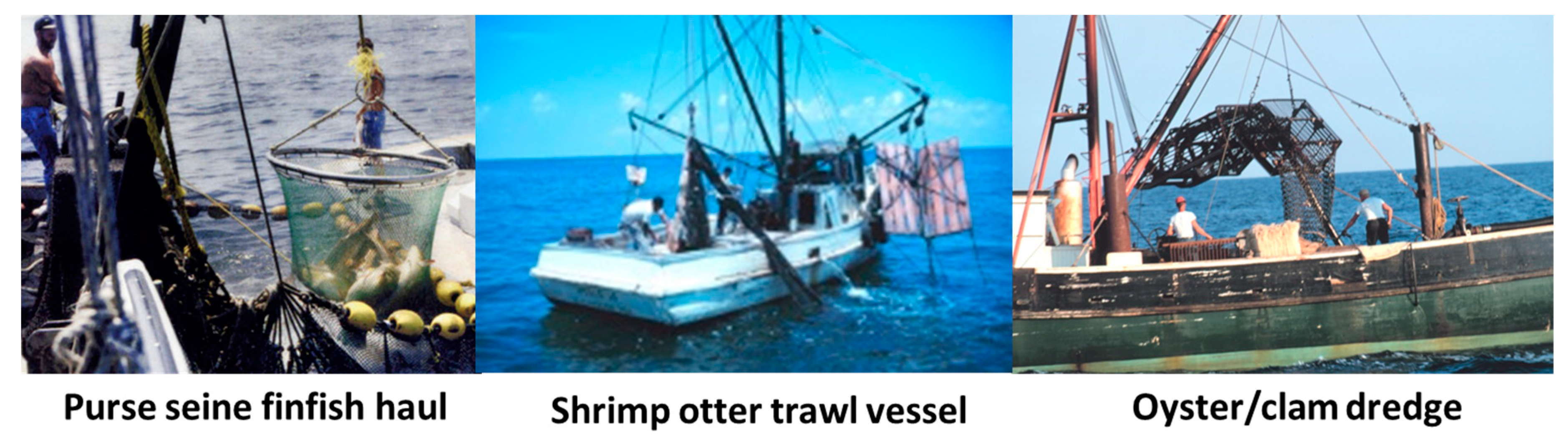 Safety 04 00027 g001