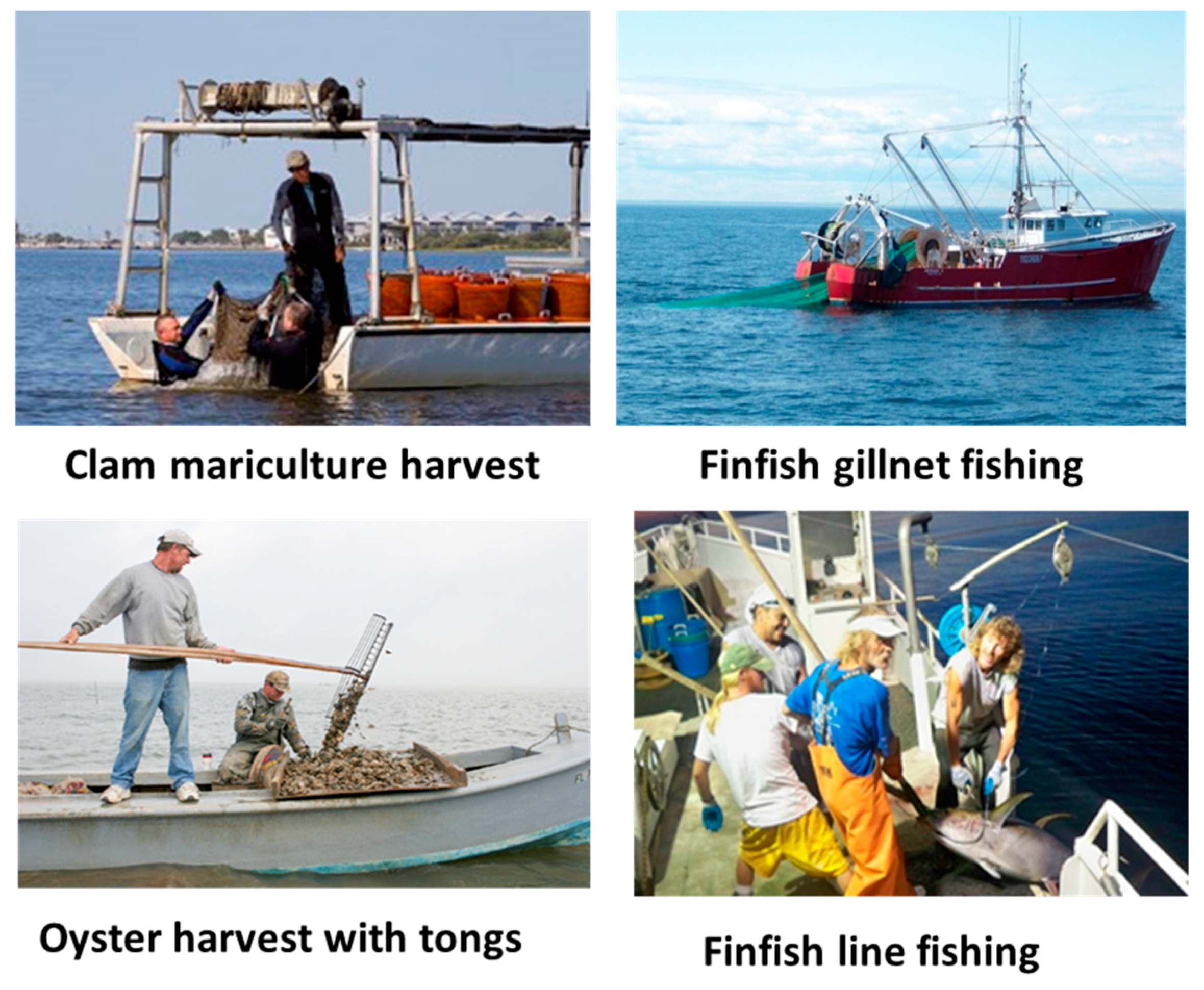 Safety 04 00027 g002