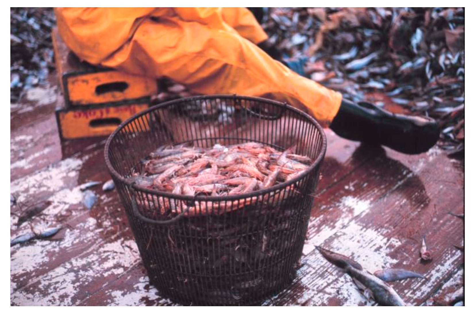 Safety 04 00027 g003