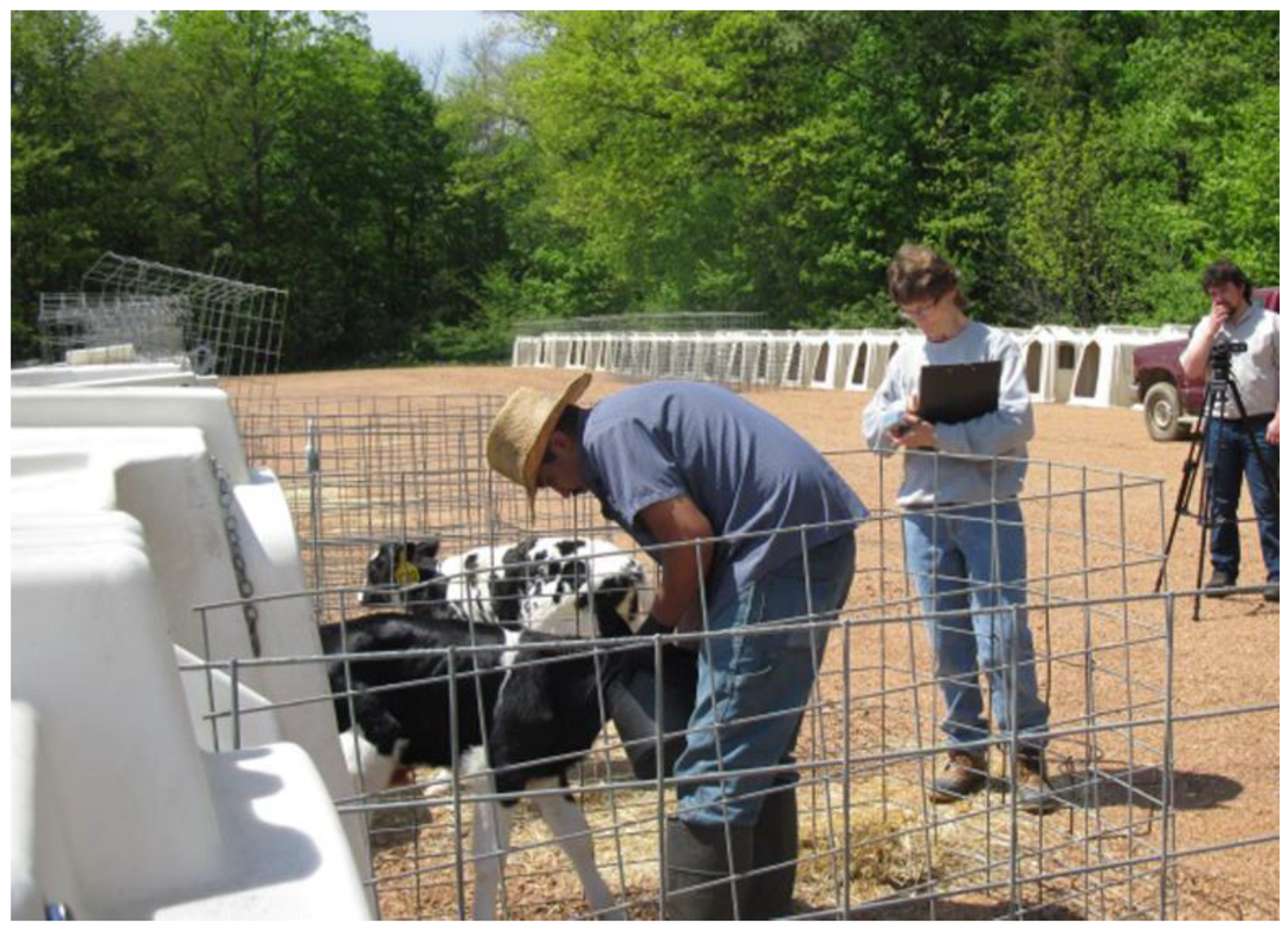 Safety 05 00040 g001 Safety 05 00040 g001