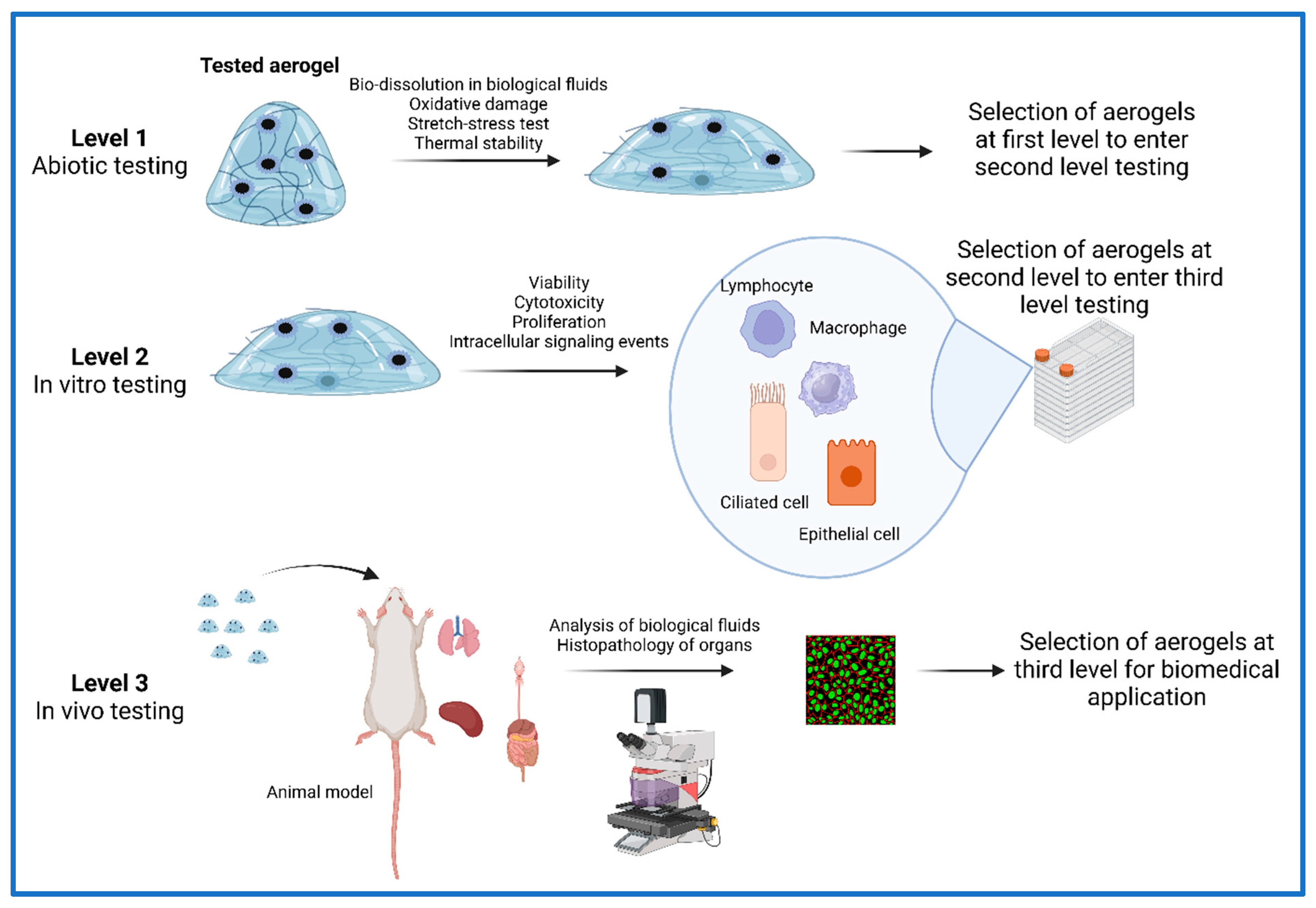 Safety 09 00080 g003