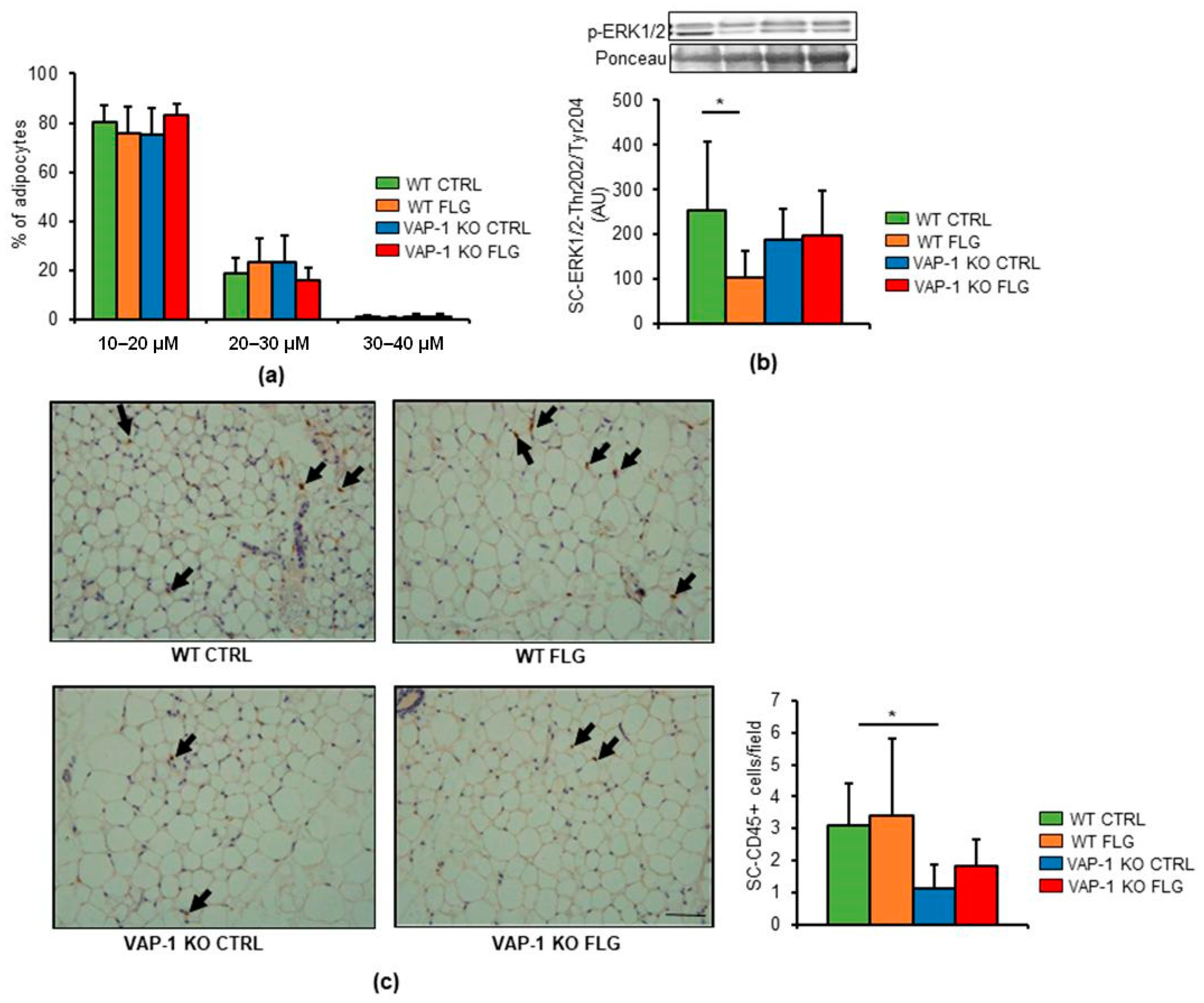 Sci 03 00013 g003 Sci 03 00013 g003