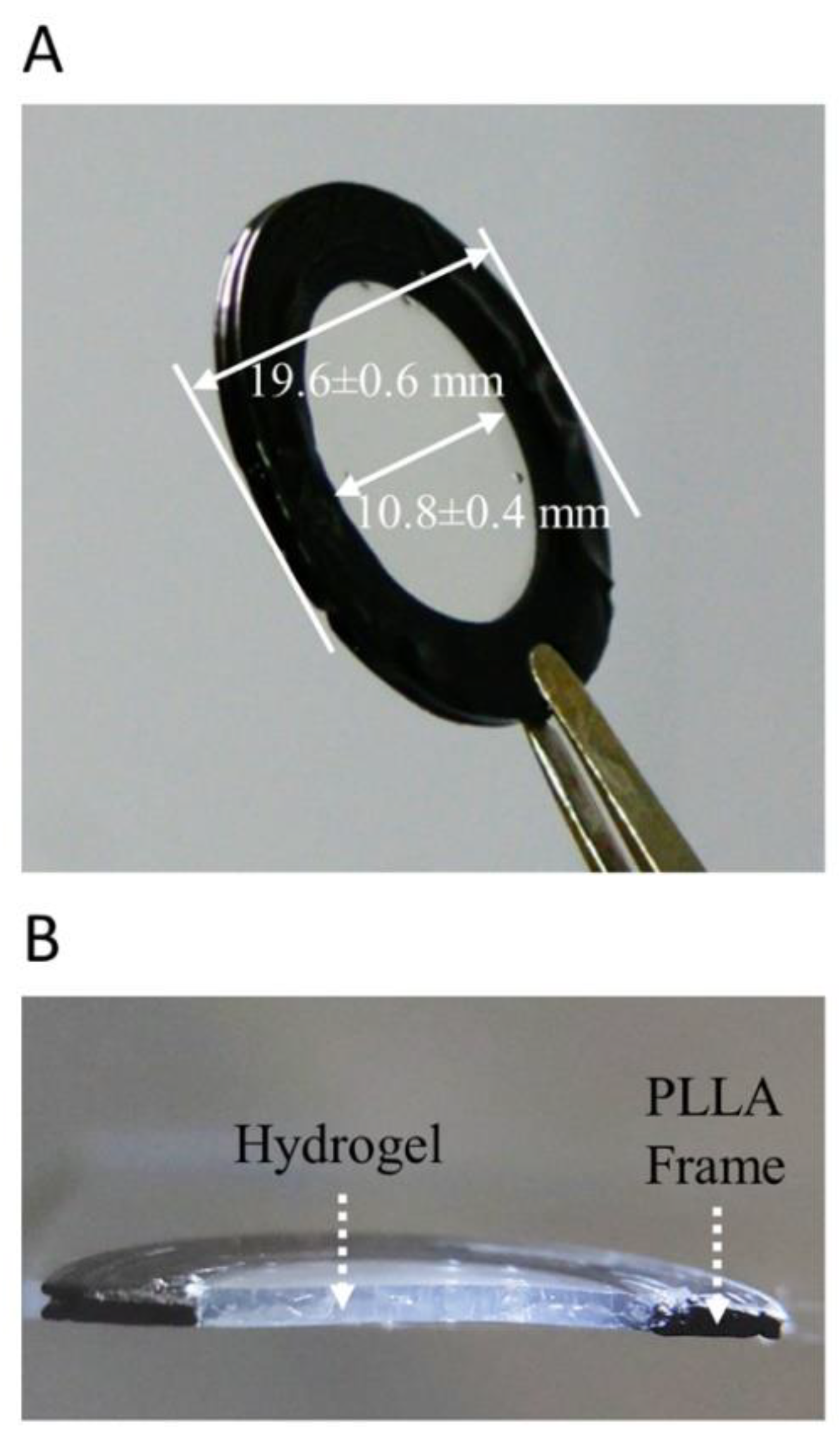 Sci 03 00030 g001