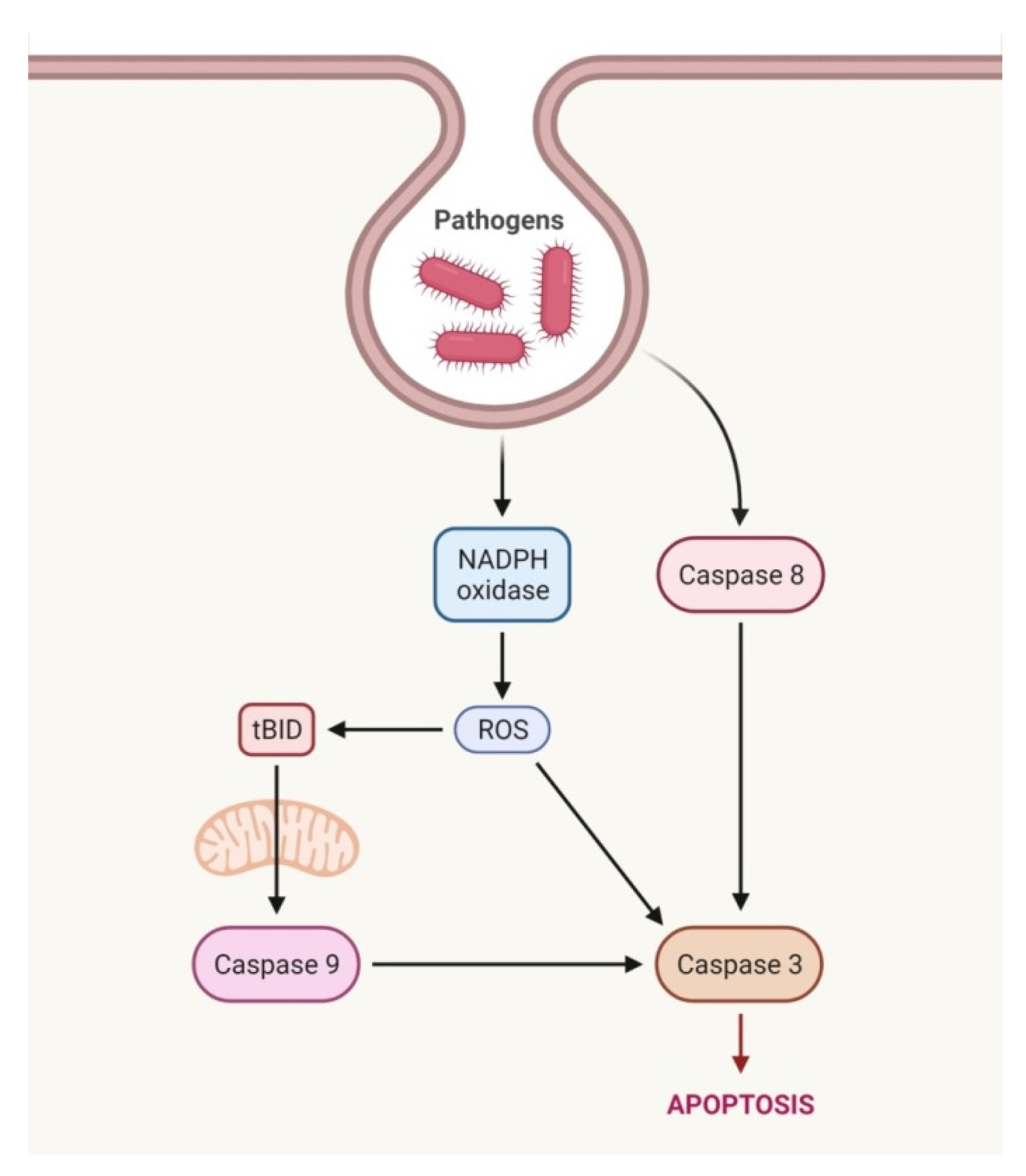 Sci 04 00015 g001 Sci 04 00015 g001