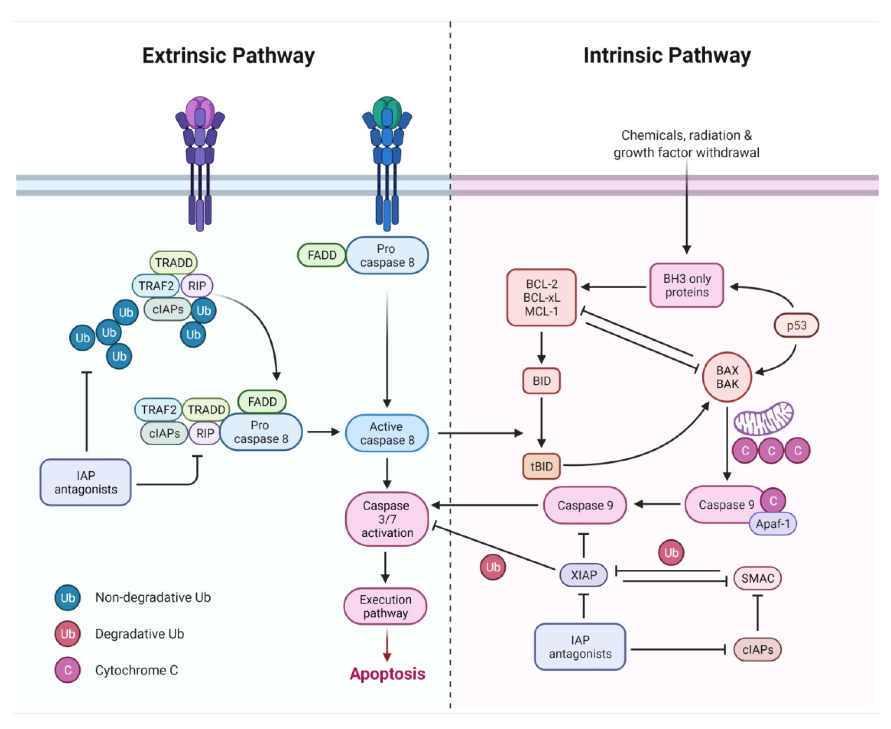 Sci 04 00015 g002 Sci 04 00015 g002