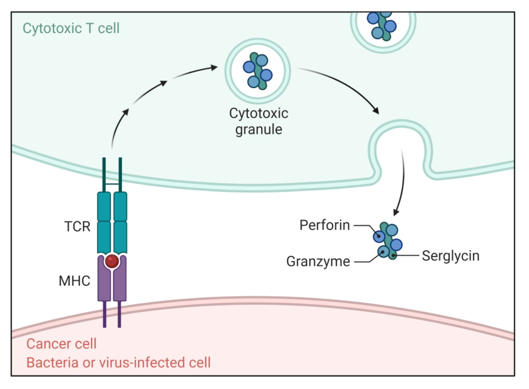 Sci 04 00015 g003 Sci 04 00015 g003