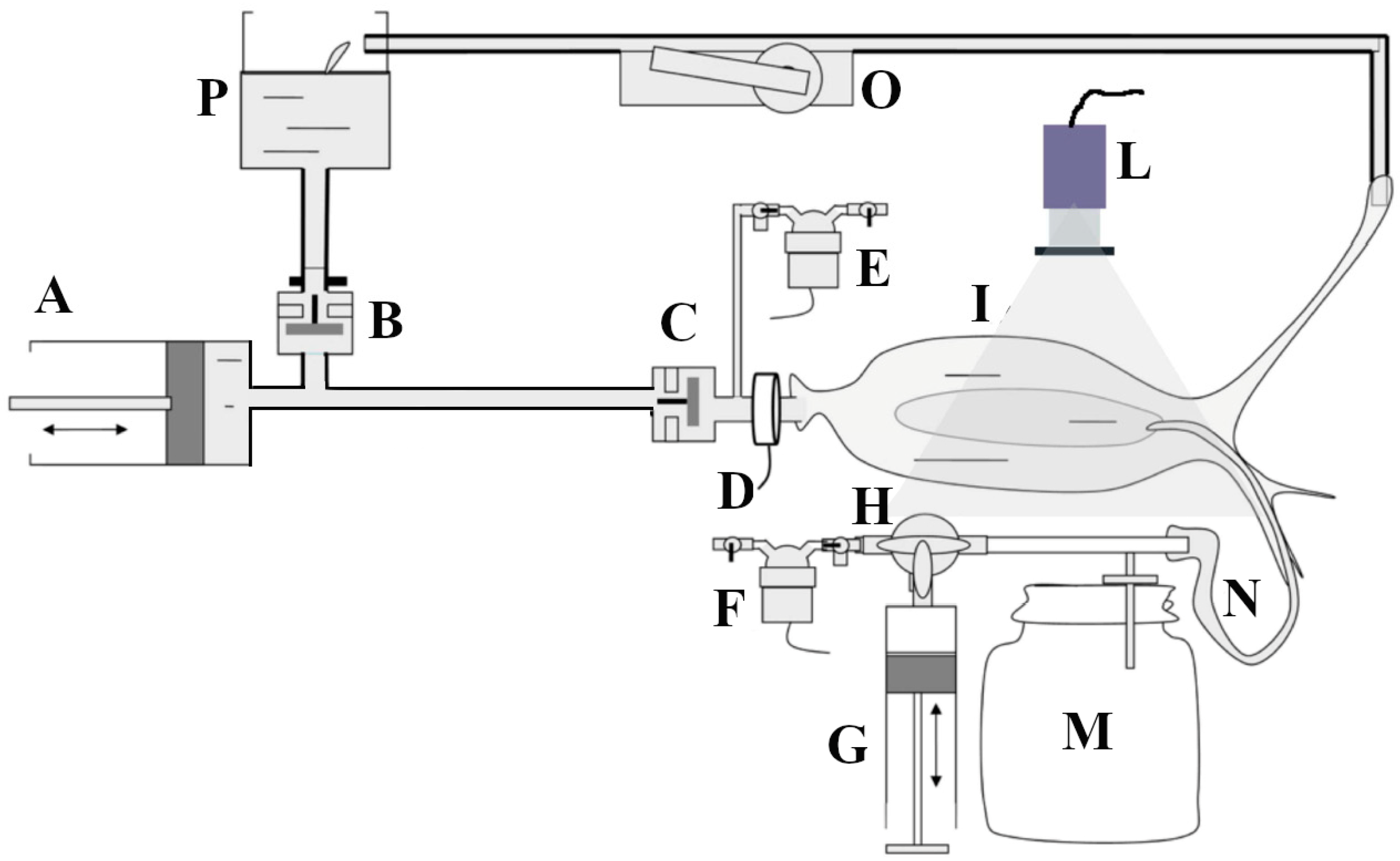 Sci 06 00078 g001 Sci 06 00078 g001
