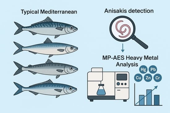 Nematodes isolated from fish samples. The bar (bottom right) indicates 1 mm.
