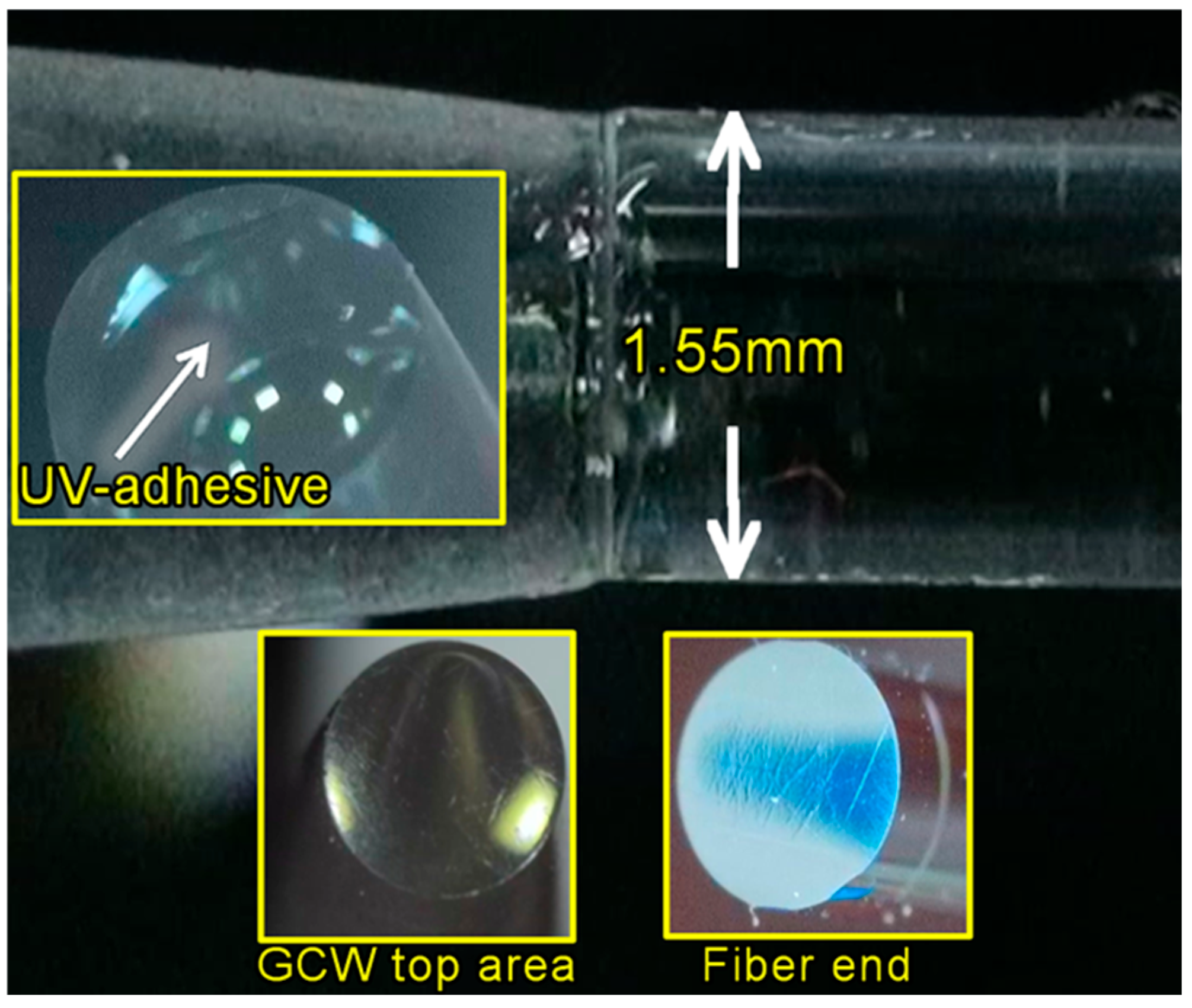 Sci 08 00028 g010 Sci 08 00028 g010
