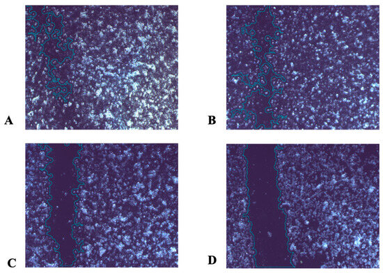 Sci 08 00055 g003a Sci 08 00055 g003a