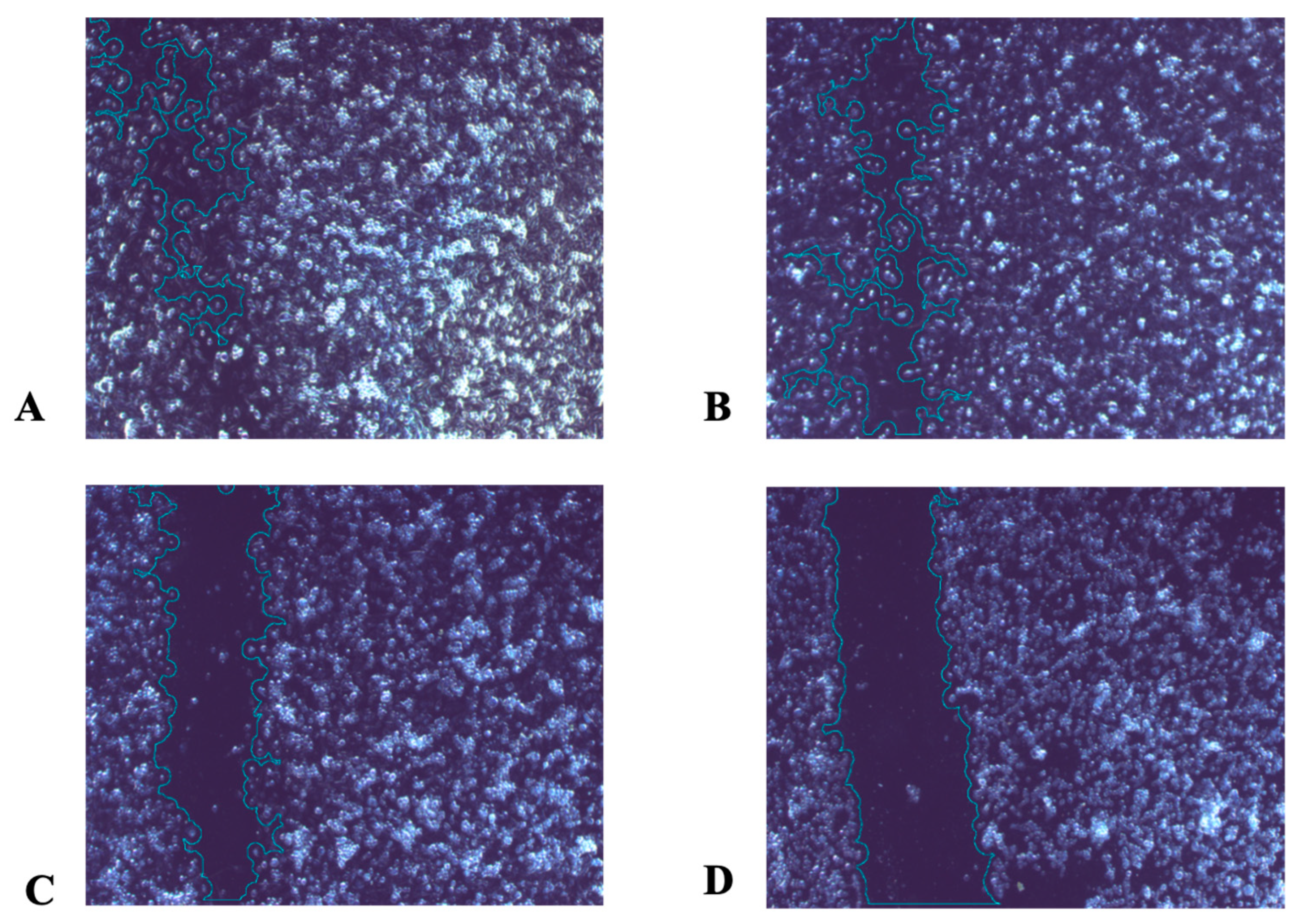 Sci 08 00055 g003a Sci 08 00055 g003a