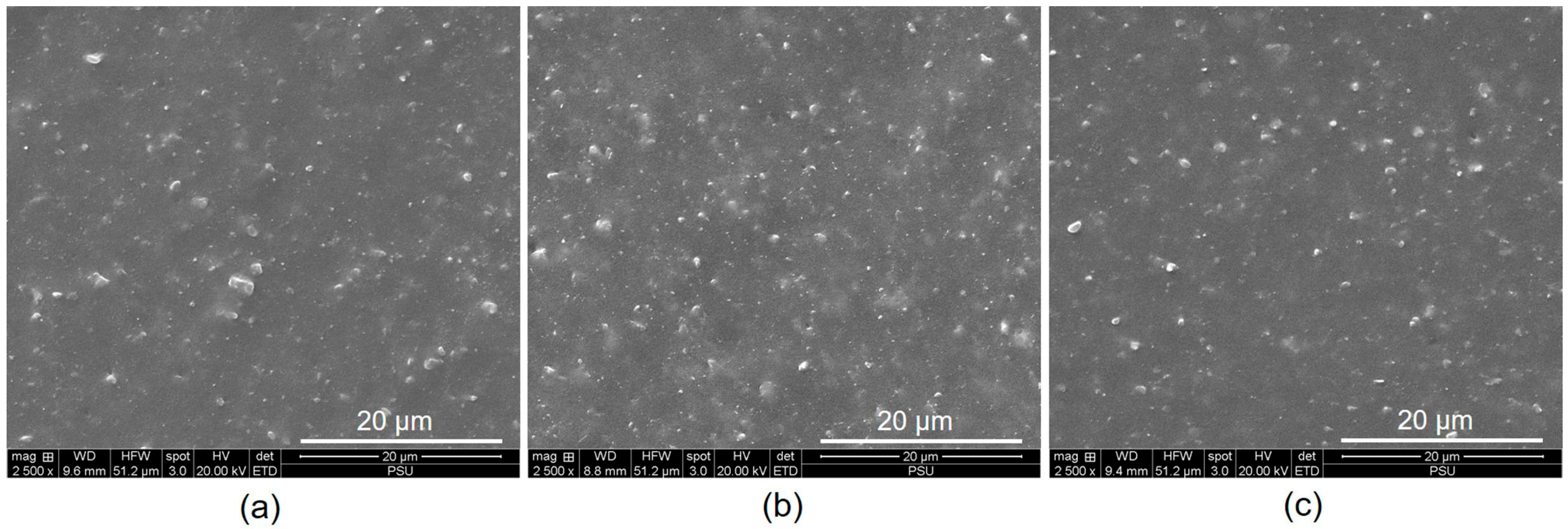 Sci 08 00067 g011 Sci 08 00067 g011