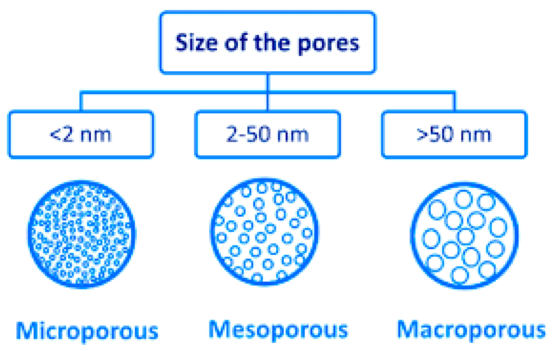 Sci 08 00105 g001 Sci 08 00105 g001
