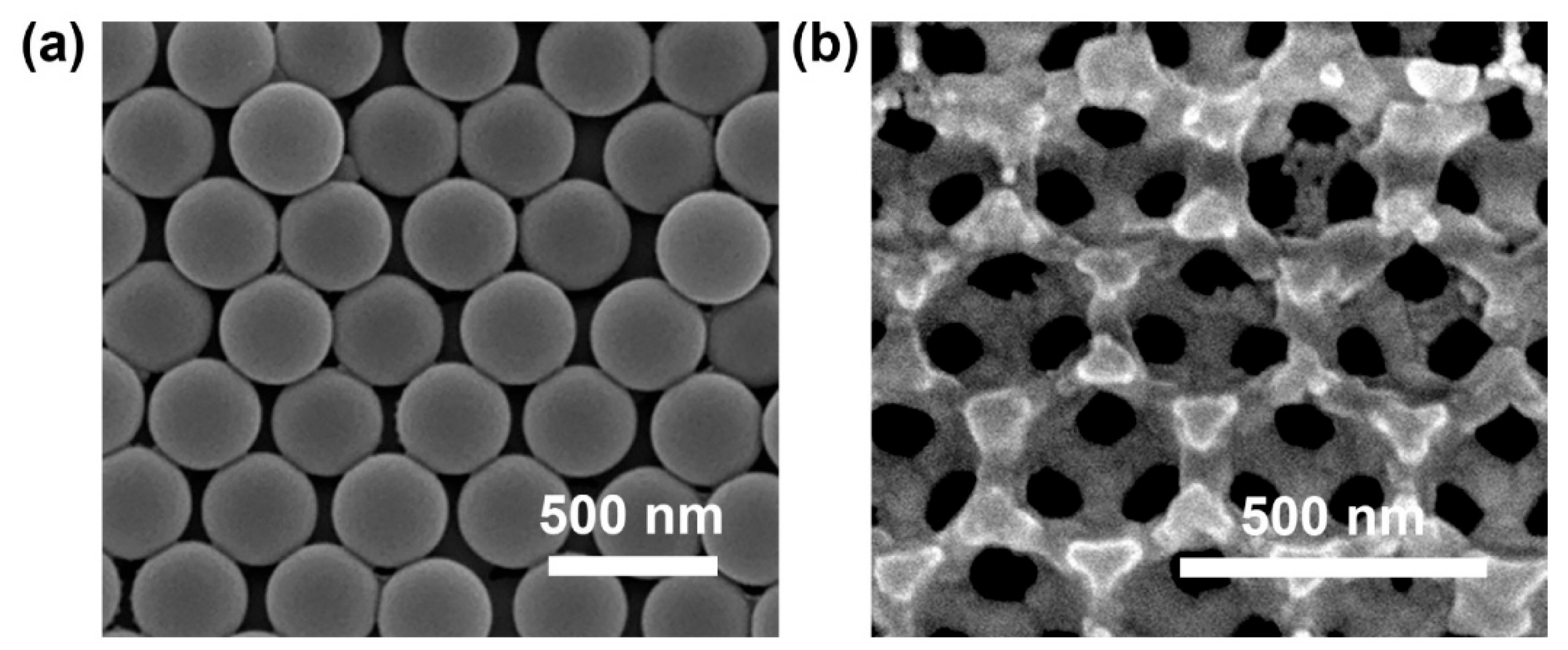 Sci 08 00105 g002 Sci 08 00105 g002