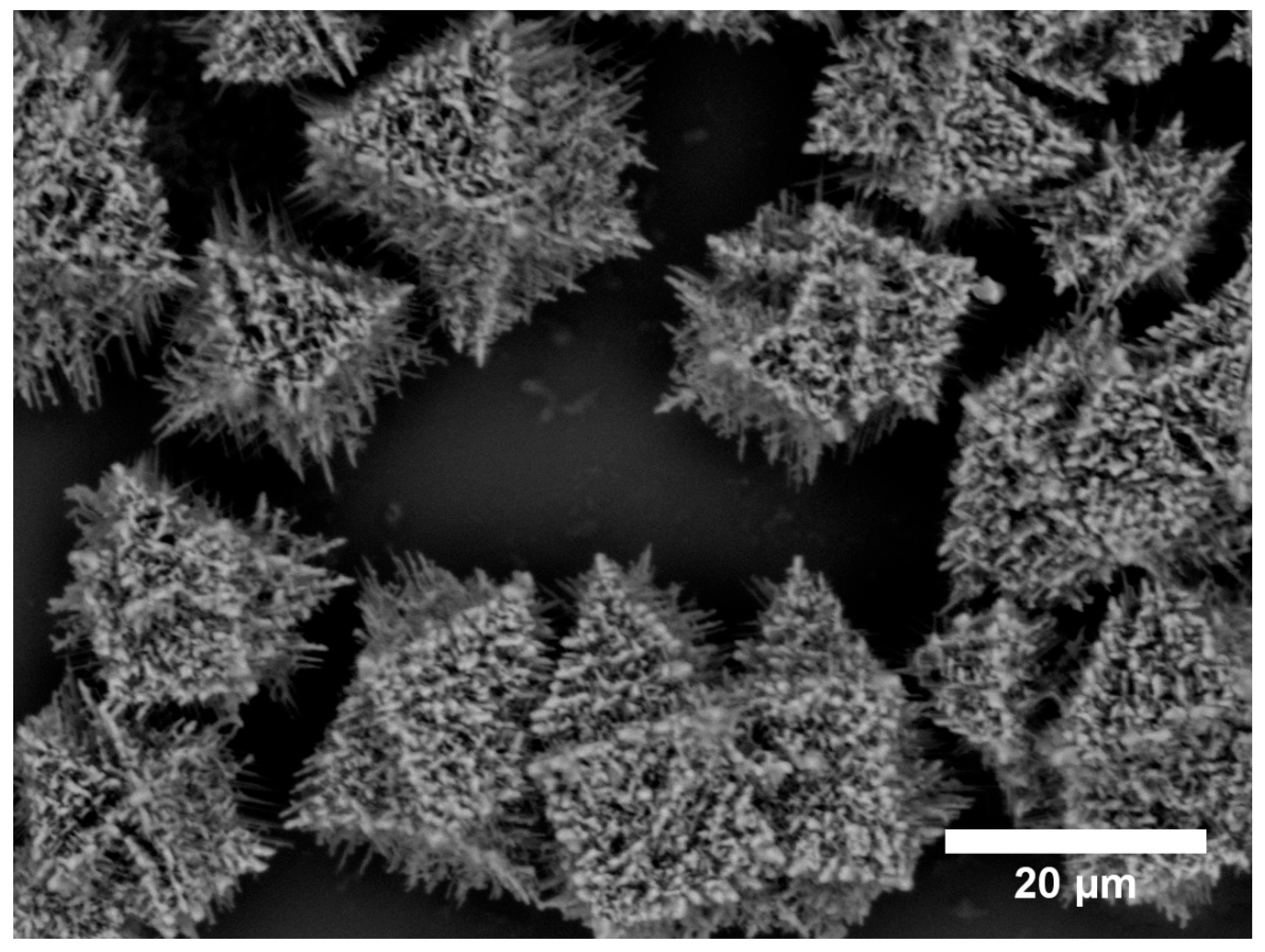 Sci 08 00105 g008 Sci 08 00105 g008