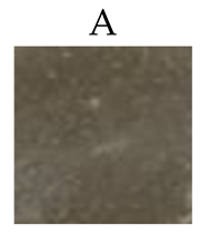 Sci 08 00117 i001