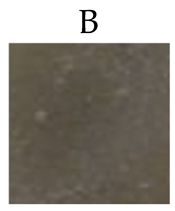 Sci 08 00117 i002