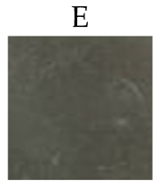 Sci 08 00117 i005