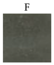 Sci 08 00117 i006