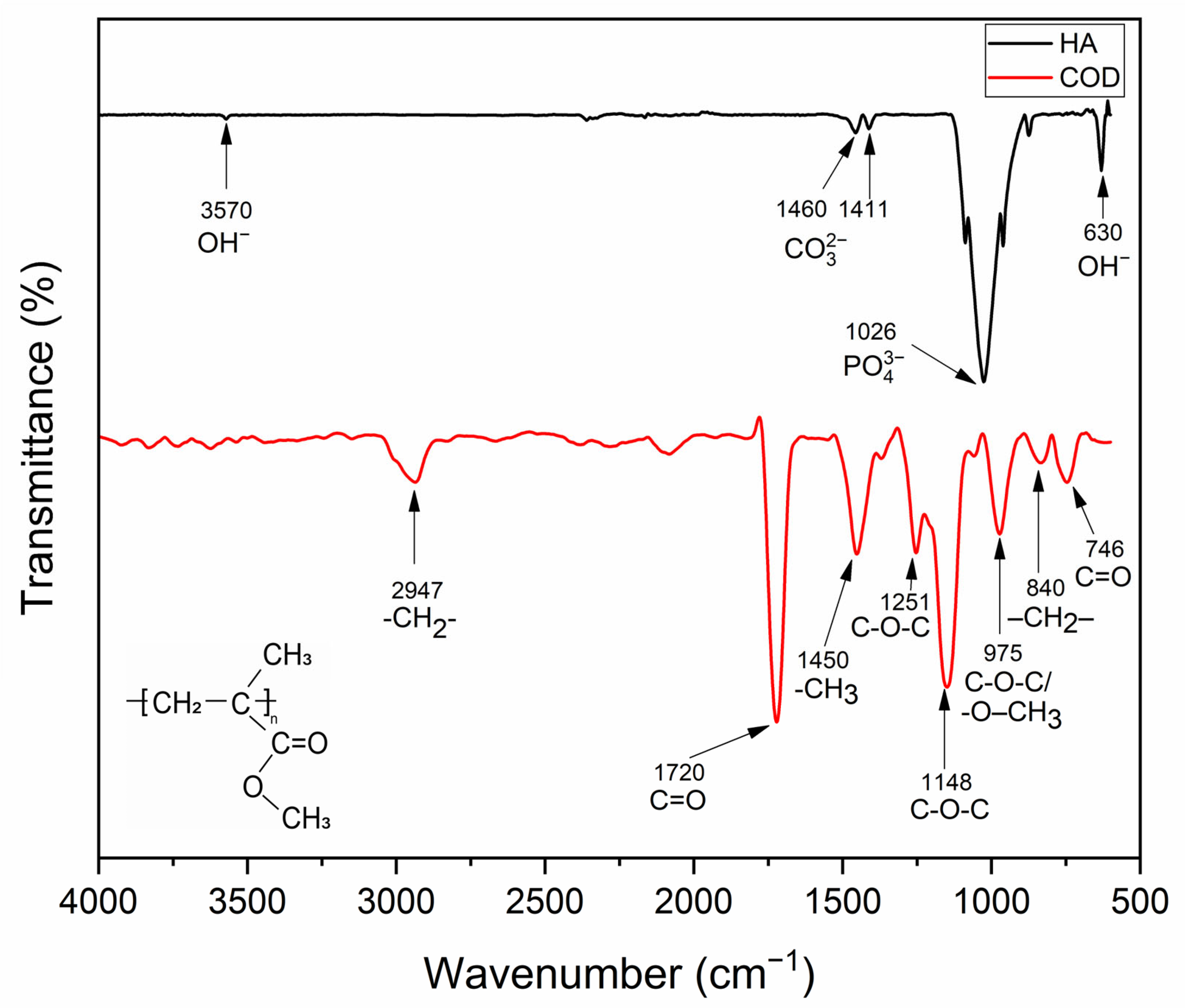 Sci 08 00121 g001 Sci 08 00121 g001