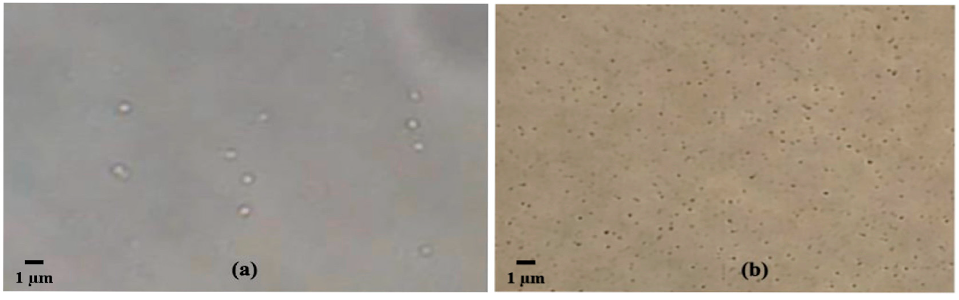 Sci 08 00306 g004