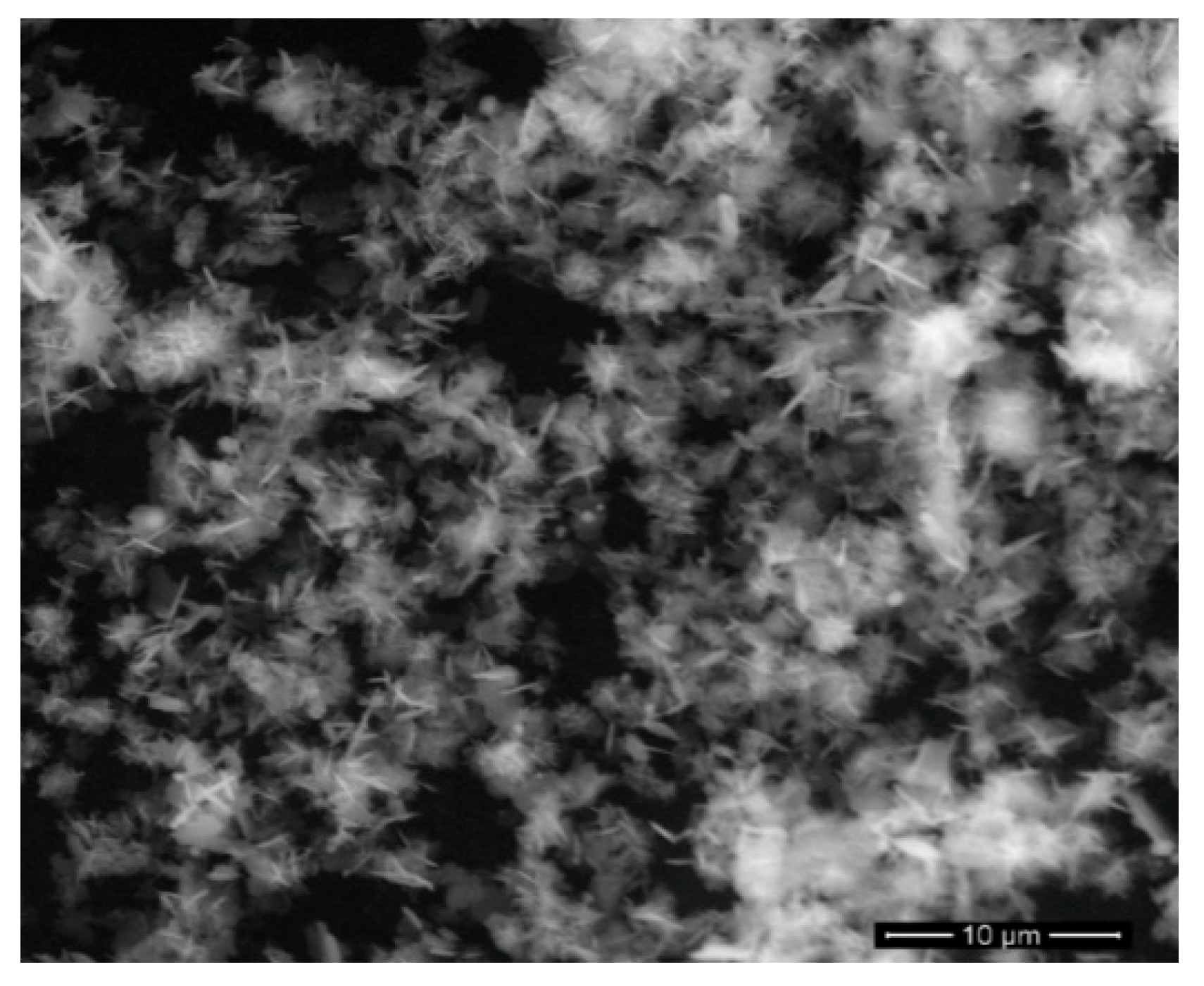 Sci 08 00307 g003 Sci 08 00307 g003