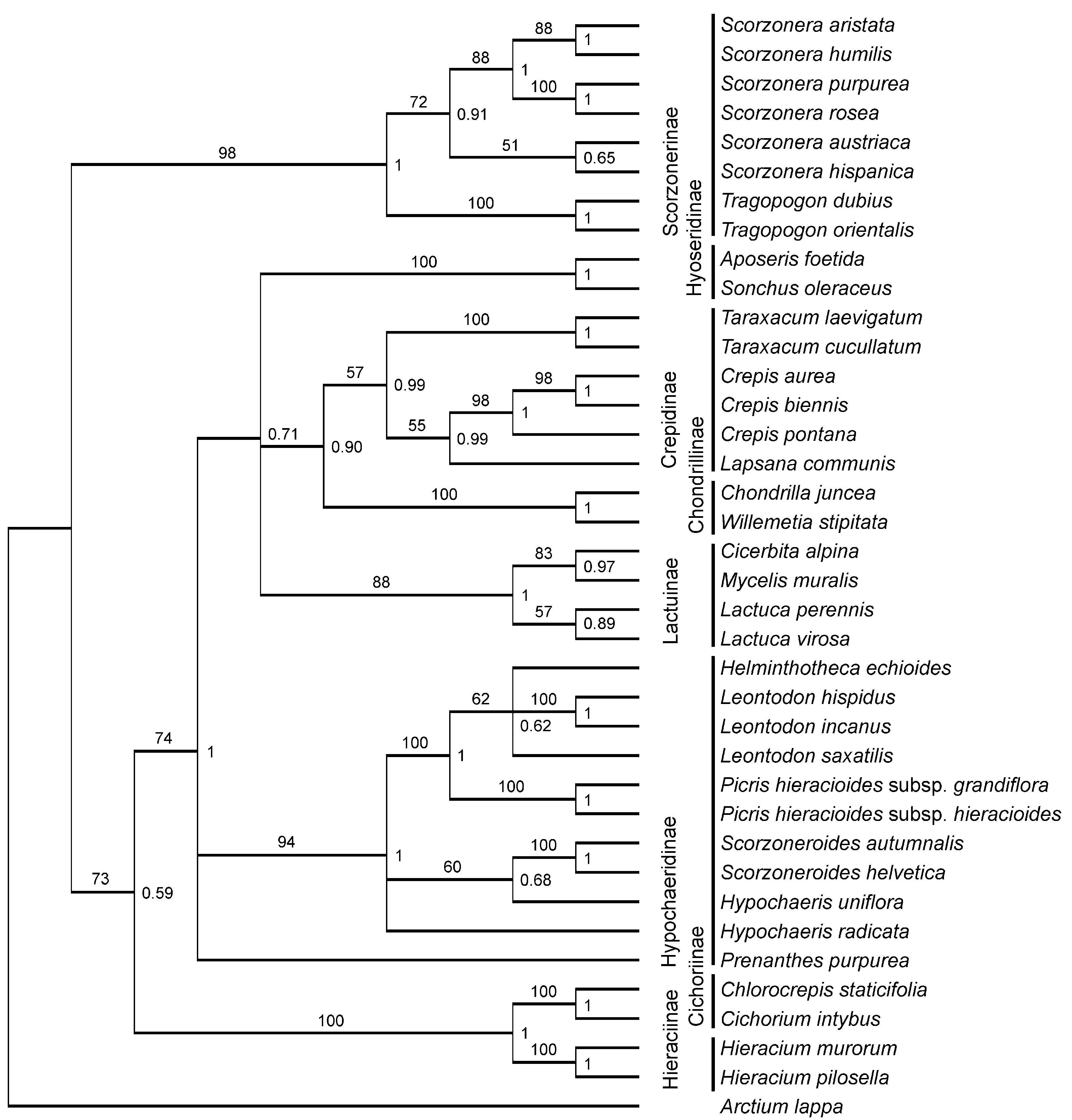 Scipharm 84 00585 g002