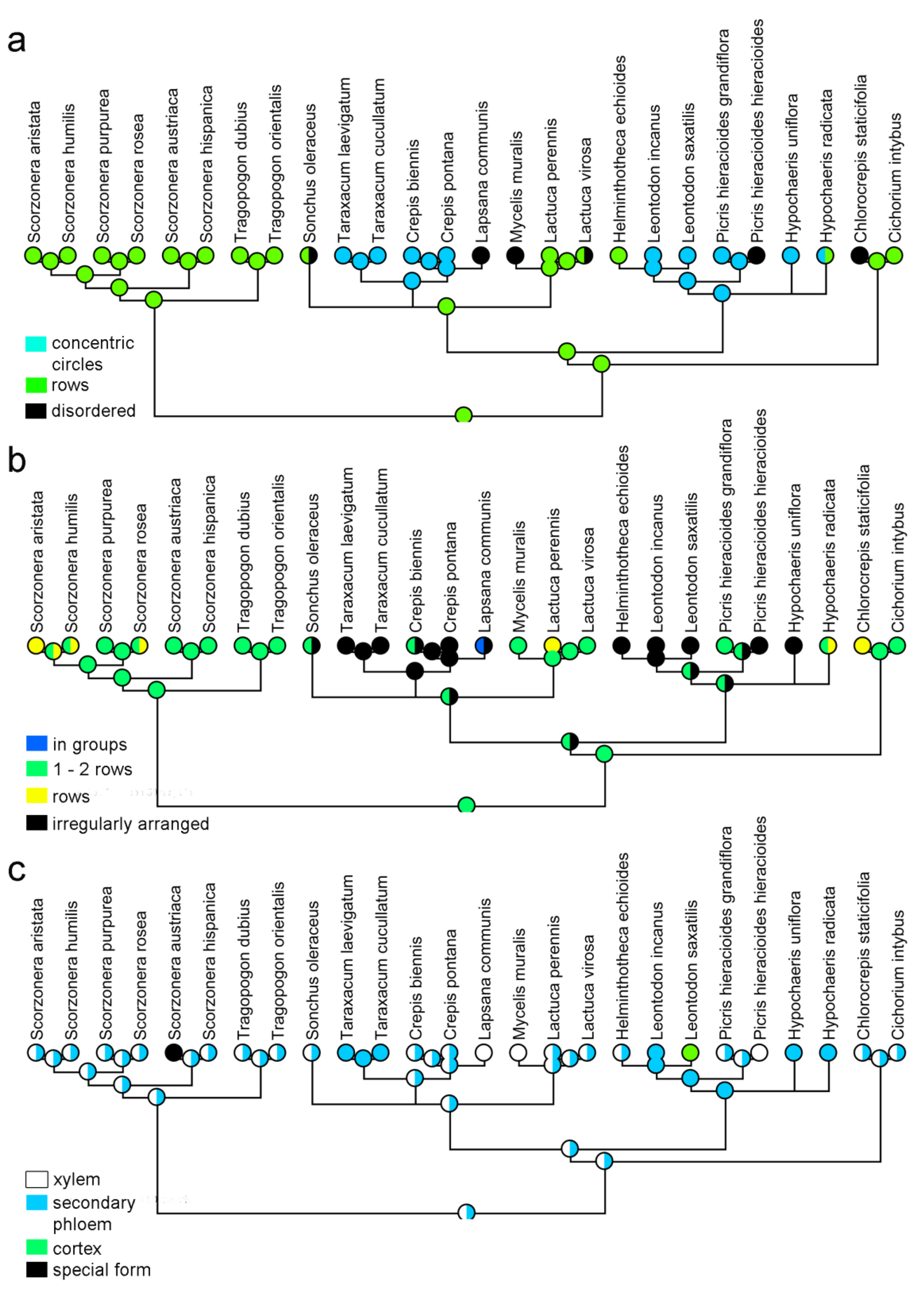 Scipharm 84 00585 g003