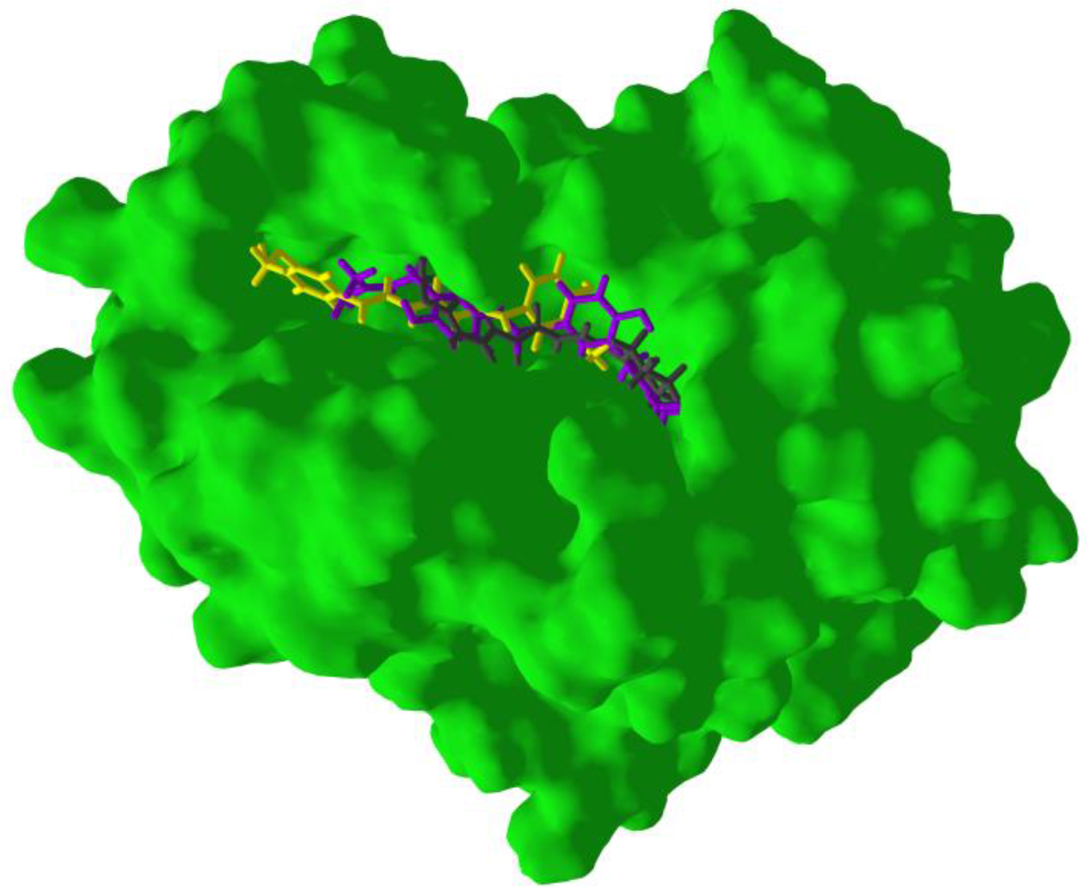 Scipharm 85 00005 g012