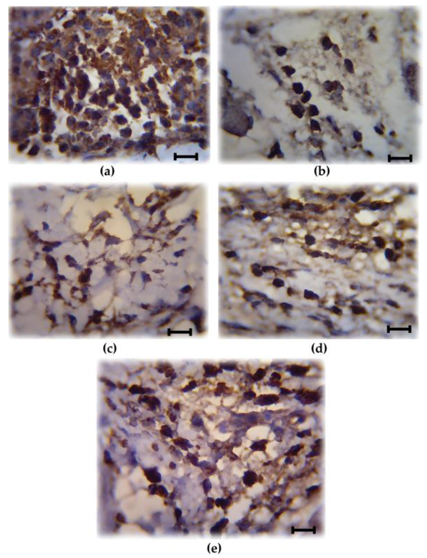 Scipharm 85 00012 g002