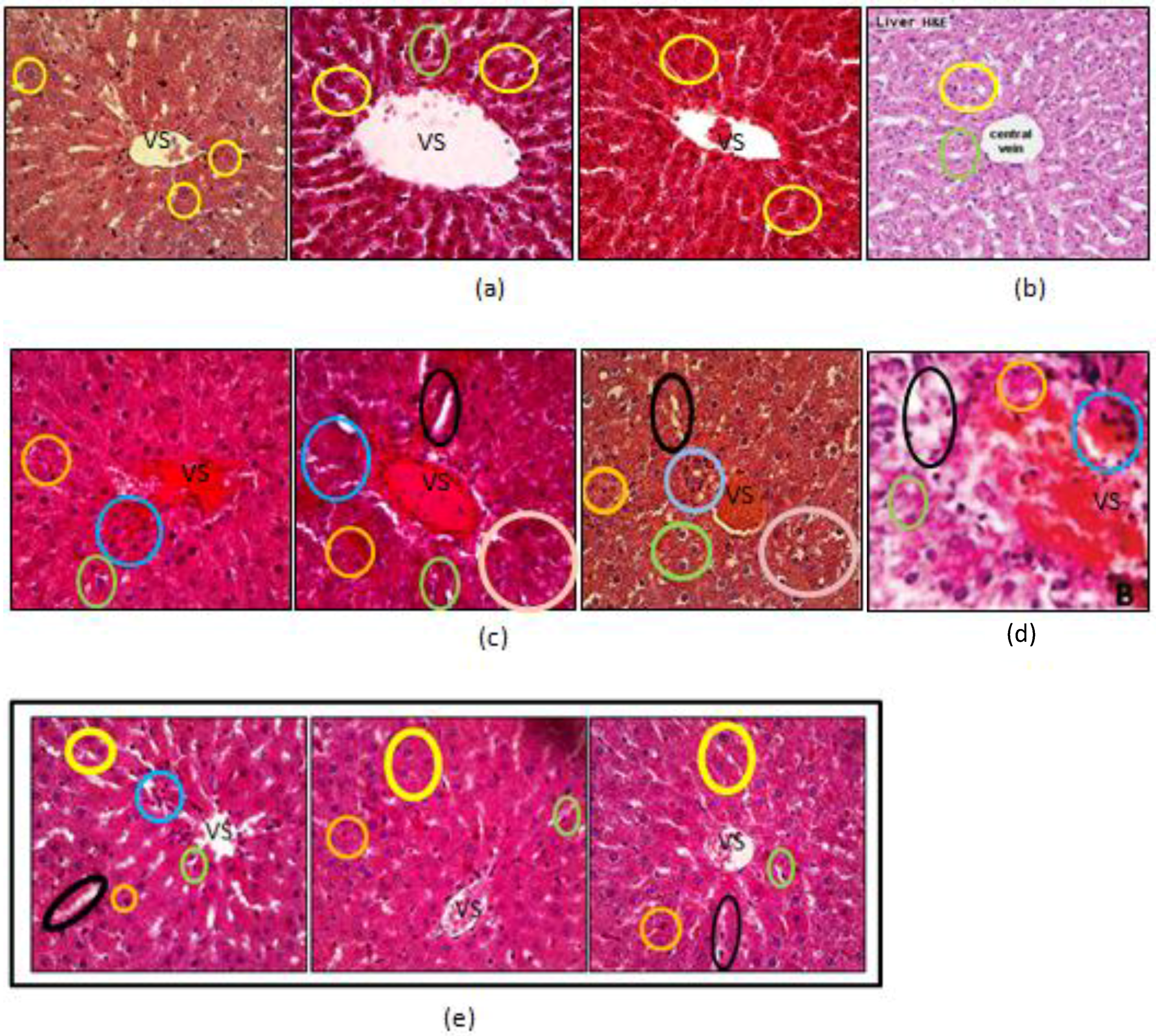 Scipharm 85 00016 g002a