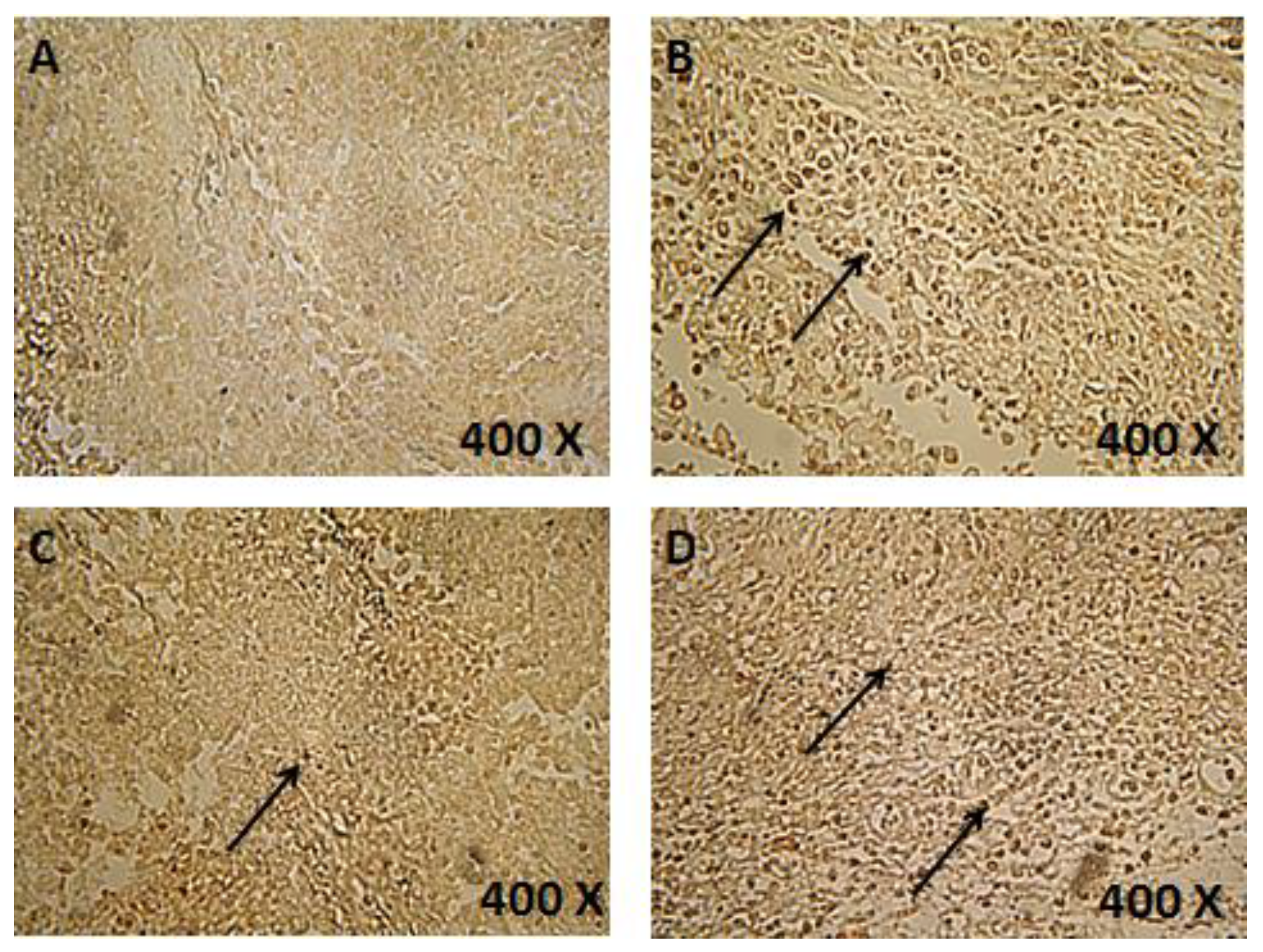 Scipharm 85 00027 g001